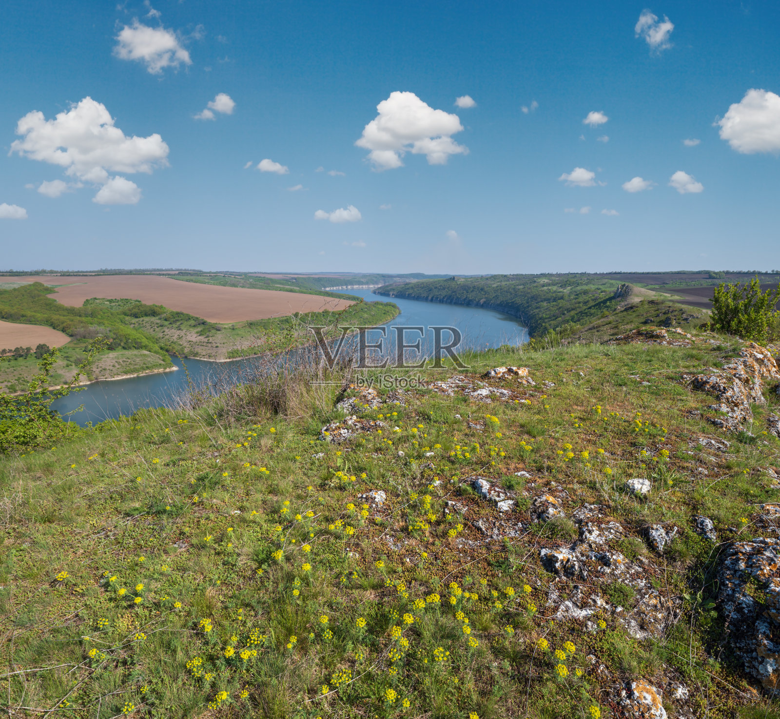 令人惊叹的春天景色，在德尼斯特河峡谷与风景如画的岩石，田野，鲜花。这个地方叫Shyshkovi Gorby, nahorany, Chernivtsi地区，乌克兰。照片摄影图片