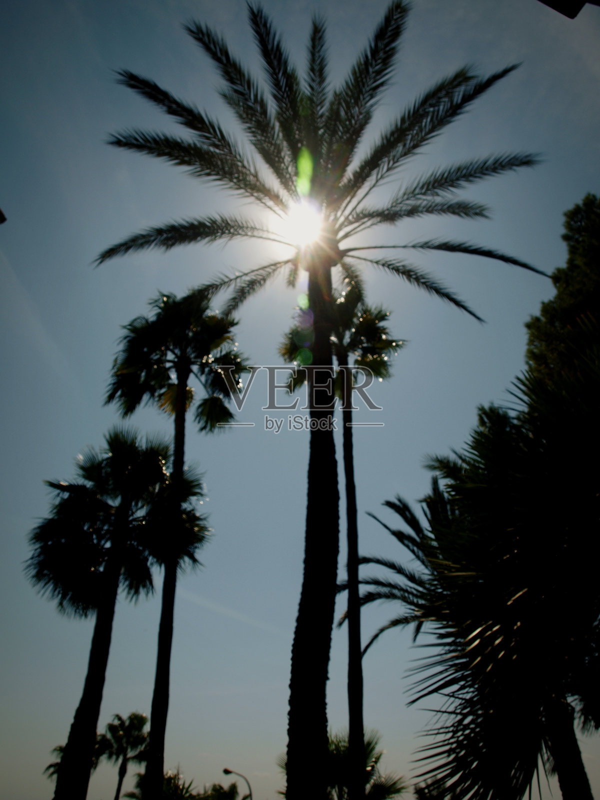 节日的氛围照片摄影图片