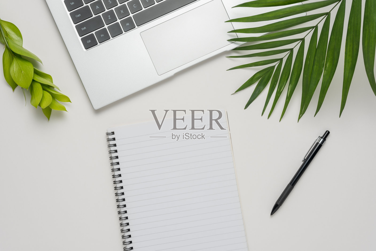 工作区有空白的笔记本，笔记本电脑，办公用品和白色背景的绿叶。照片摄影图片