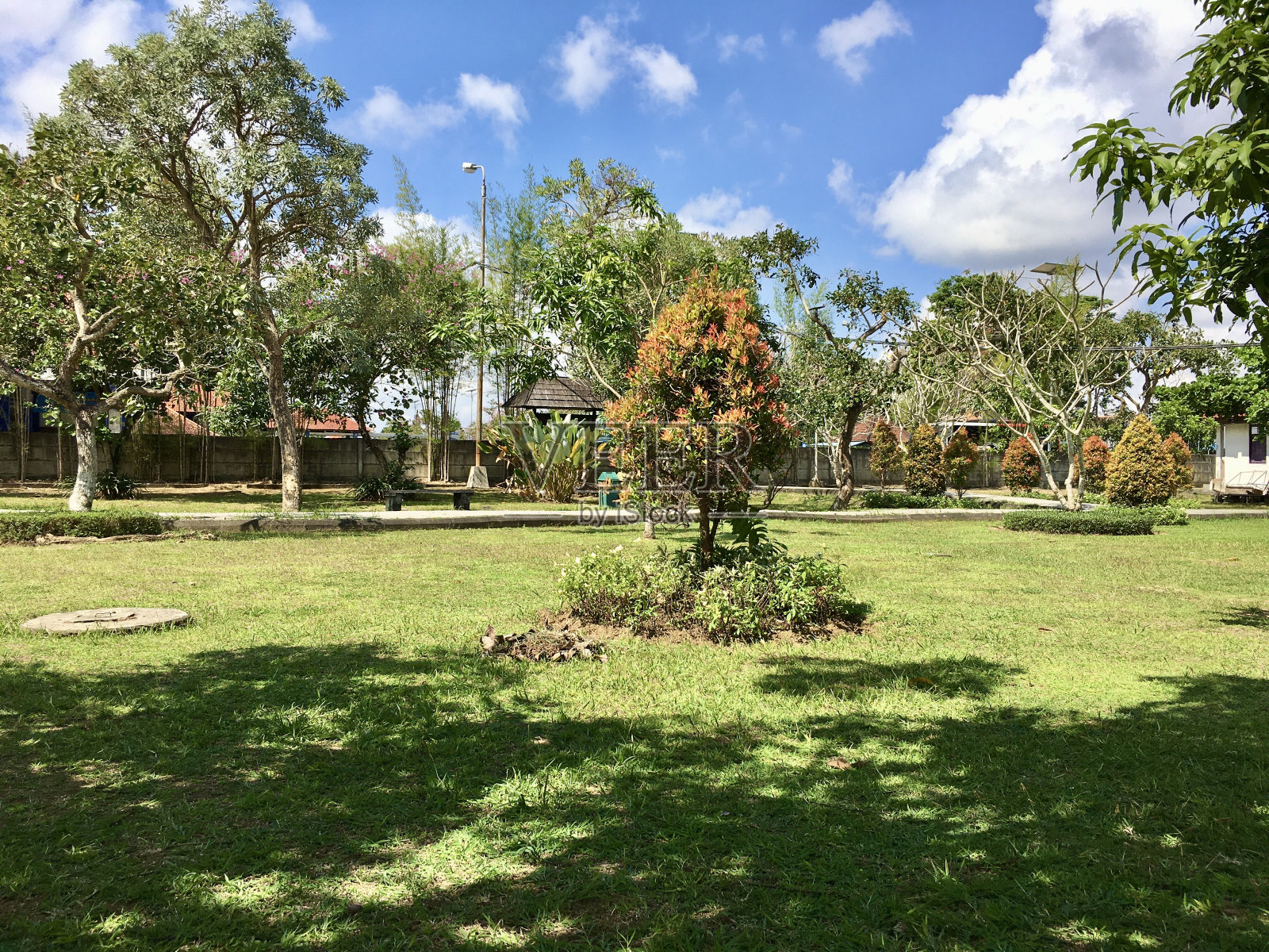 白天花园的风景照片照片摄影图片