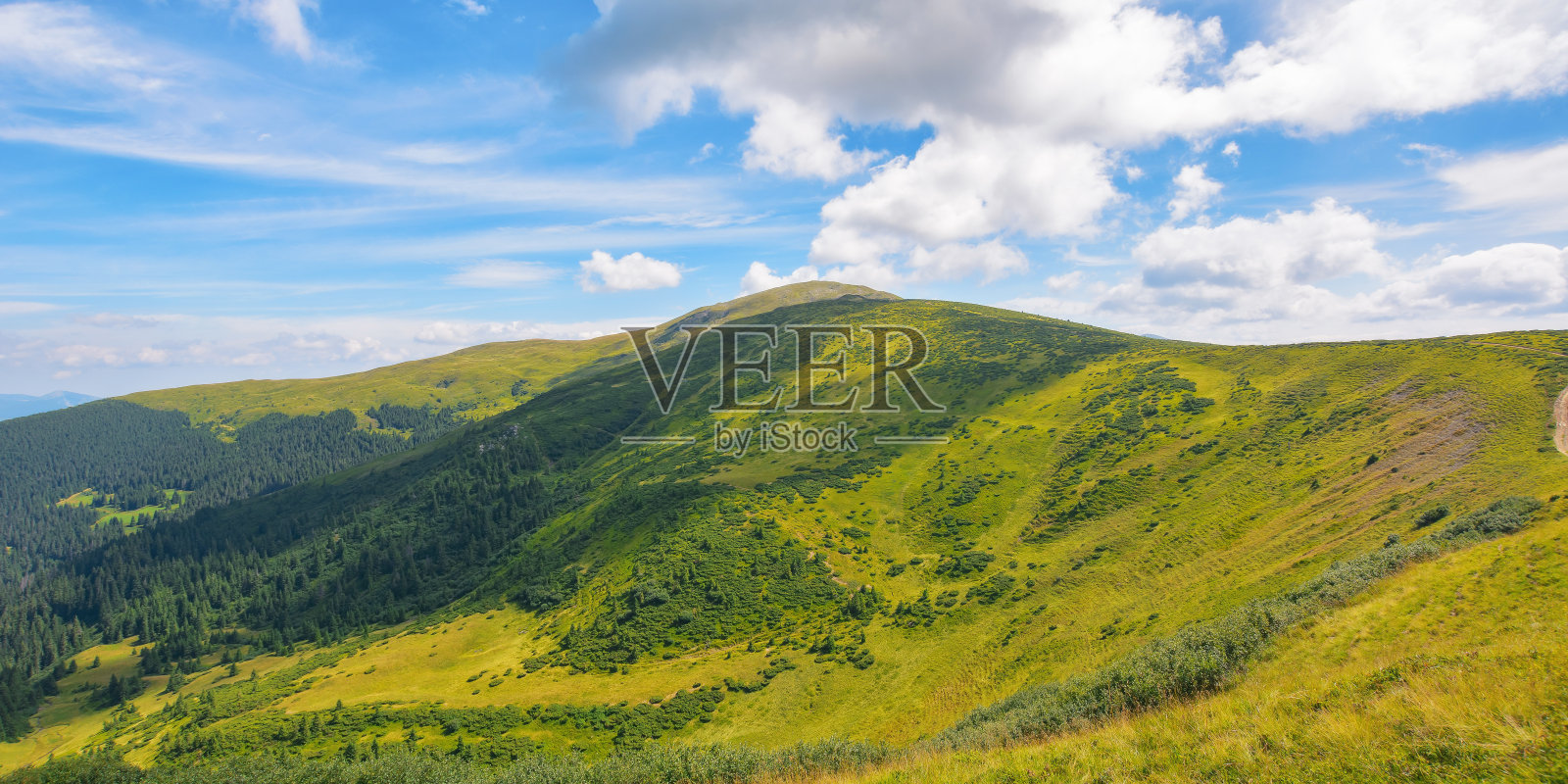 夏天喀尔巴阡山脉的乡村照片摄影图片