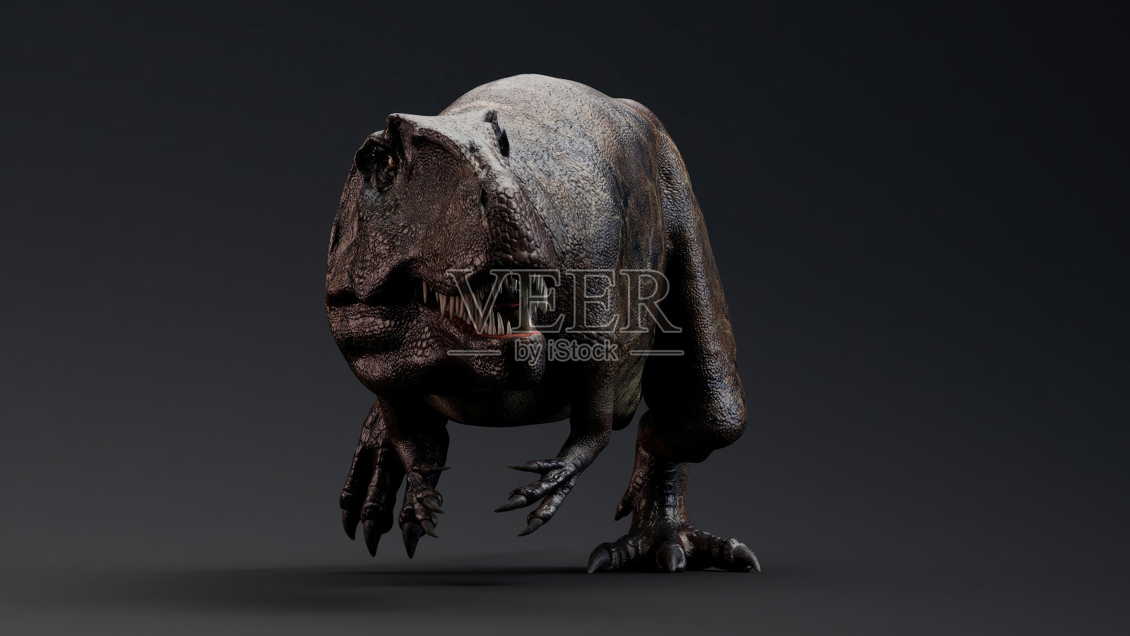 南方巨兽龙的姿态渲染的背景。三维渲染照片摄影图片