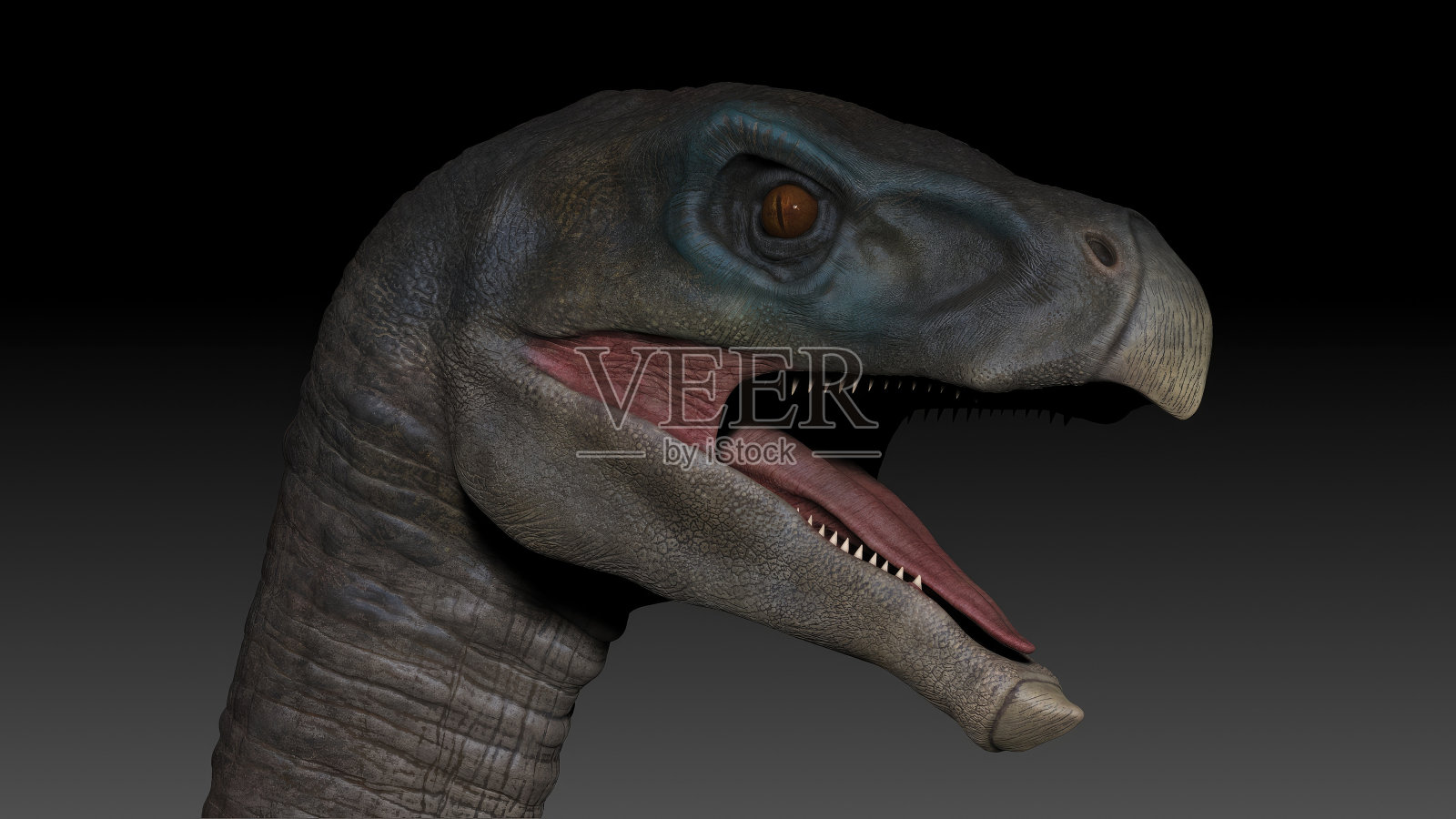 镰刀龙的姿态渲染背景。三维渲染照片摄影图片