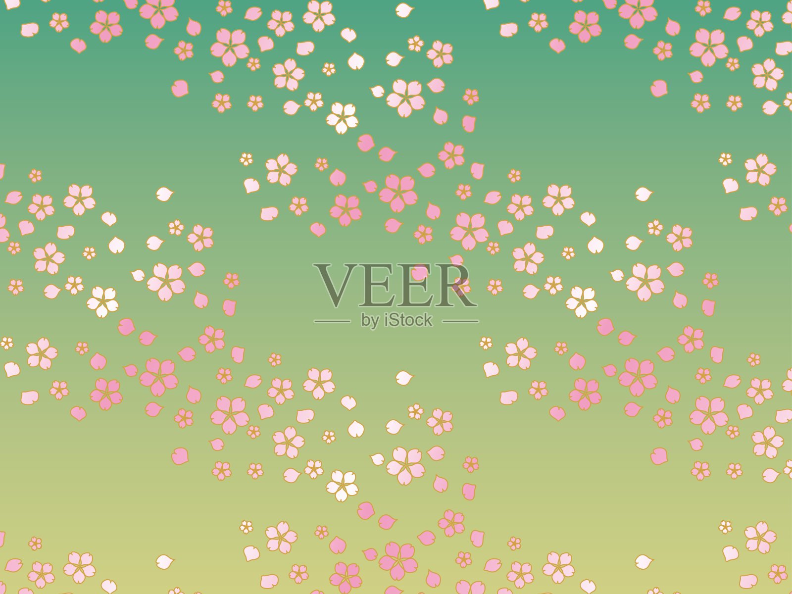 樱花边B3插画图片素材