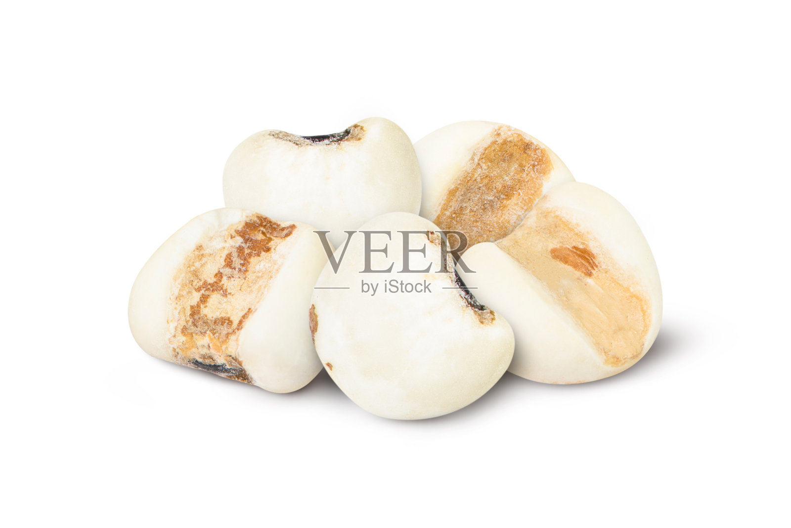 约伯的眼泪(小米或珍珠小米)照片摄影图片