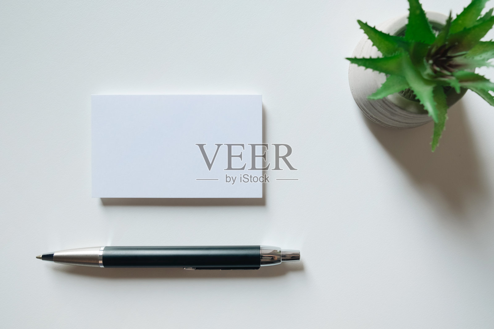 白色空白名片模型，笔和仙人掌在白色的背景。模拟演示。照片摄影图片