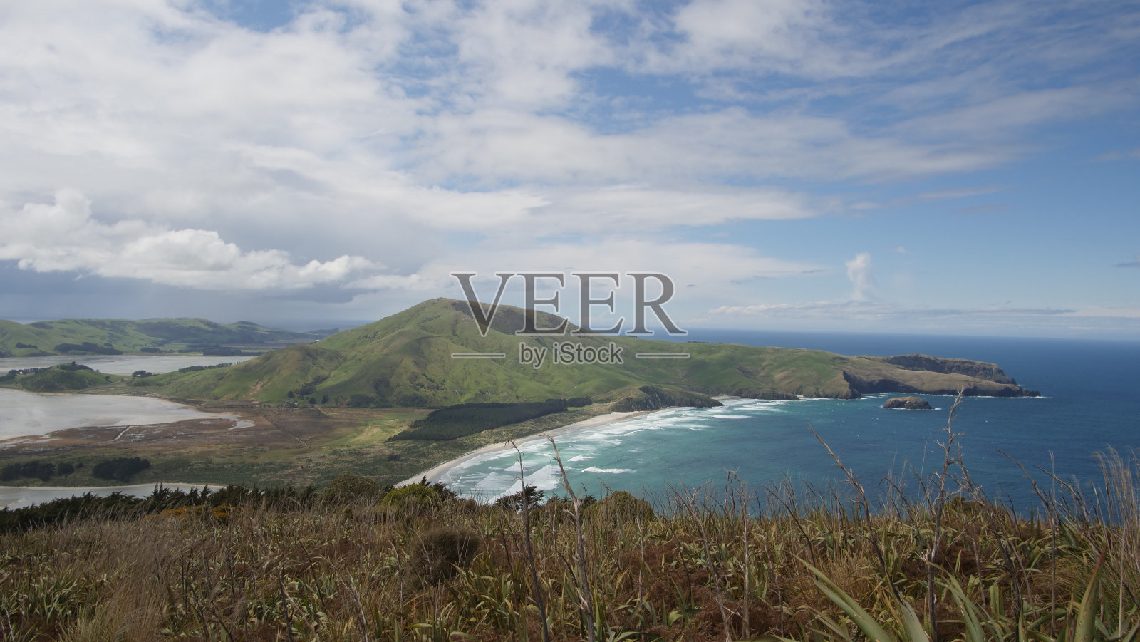 阿兰海滩，奥塔哥半岛，新西兰照片摄影图片