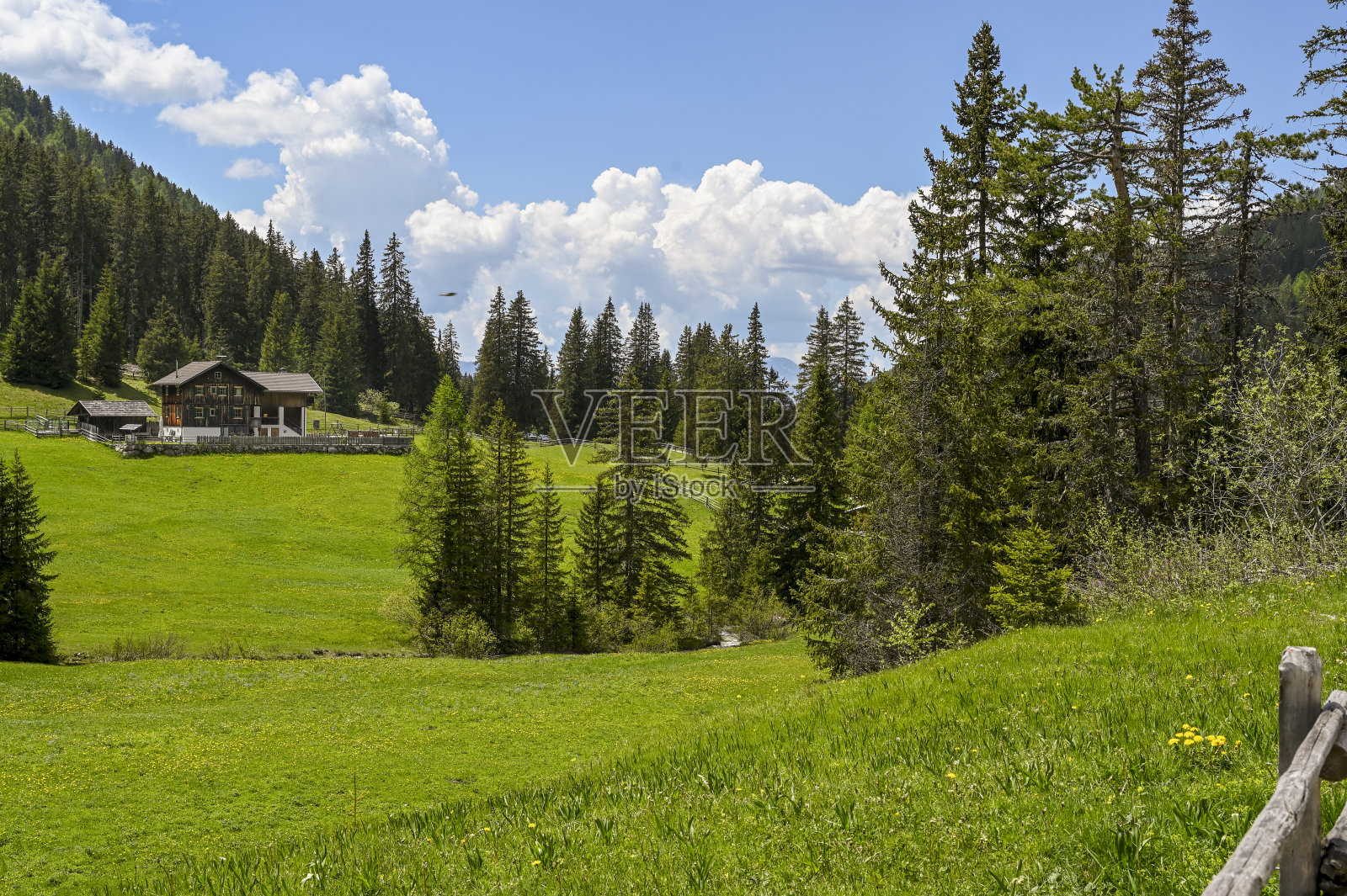 自然公园照片摄影图片