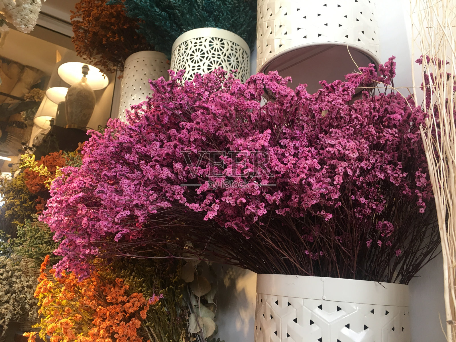 干花照片摄影图片