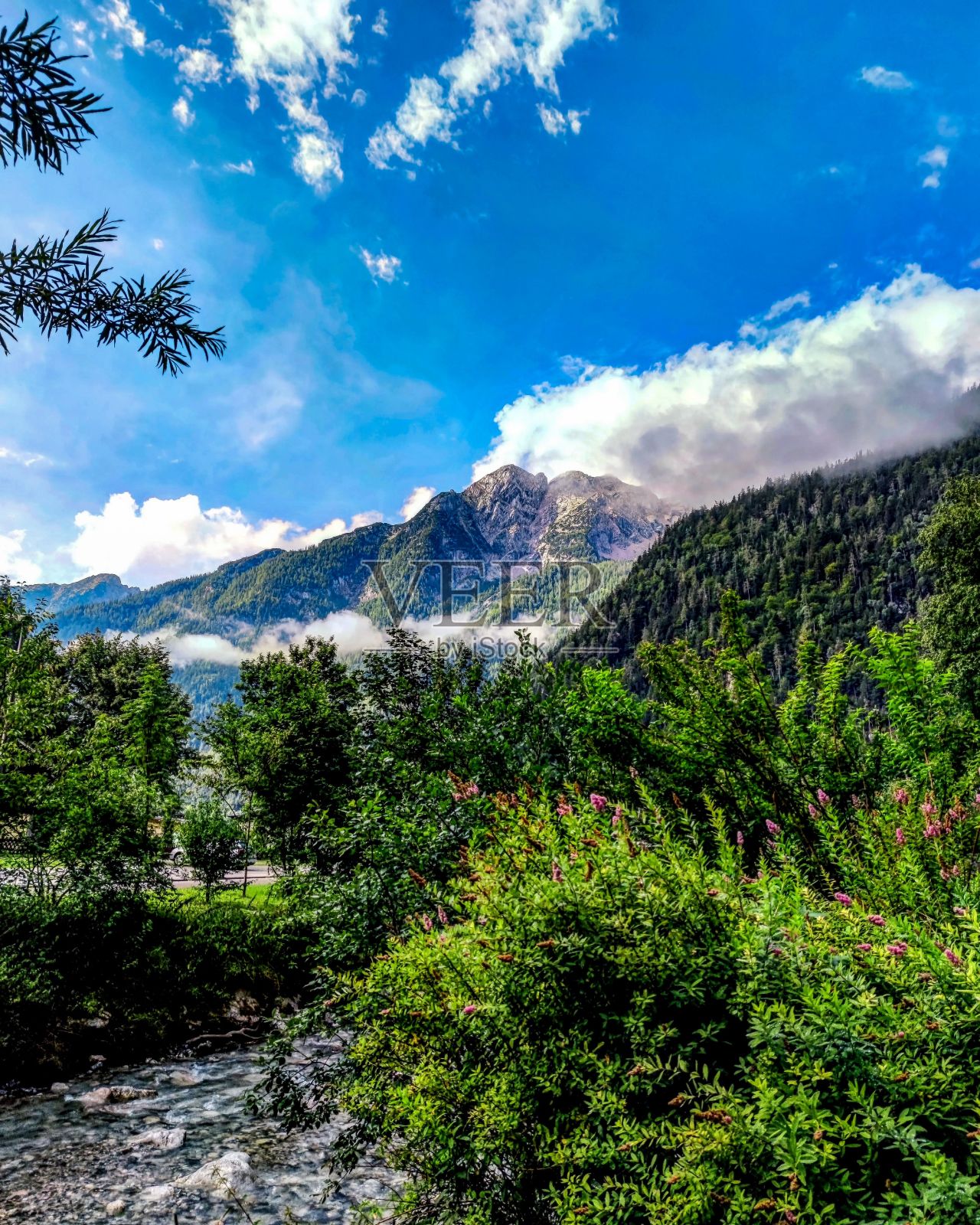 雄伟的山脉景观，前景中的河流被郁郁葱葱的绿色植物包围照片摄影图片