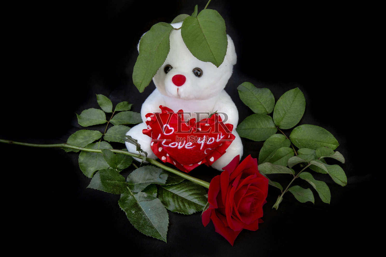 一束花照片摄影图片