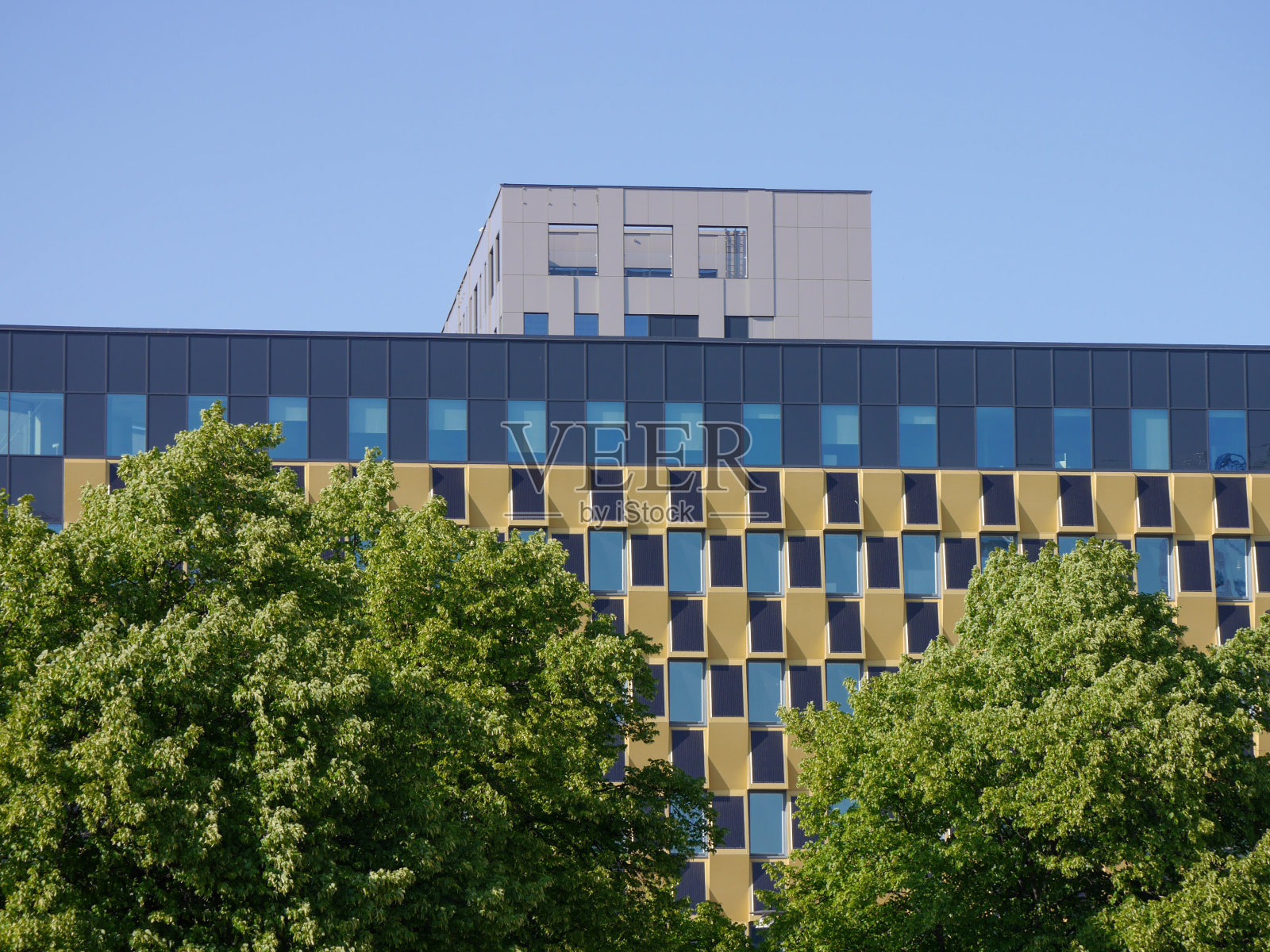 树木和建筑物对着天空的低角度视图照片摄影图片