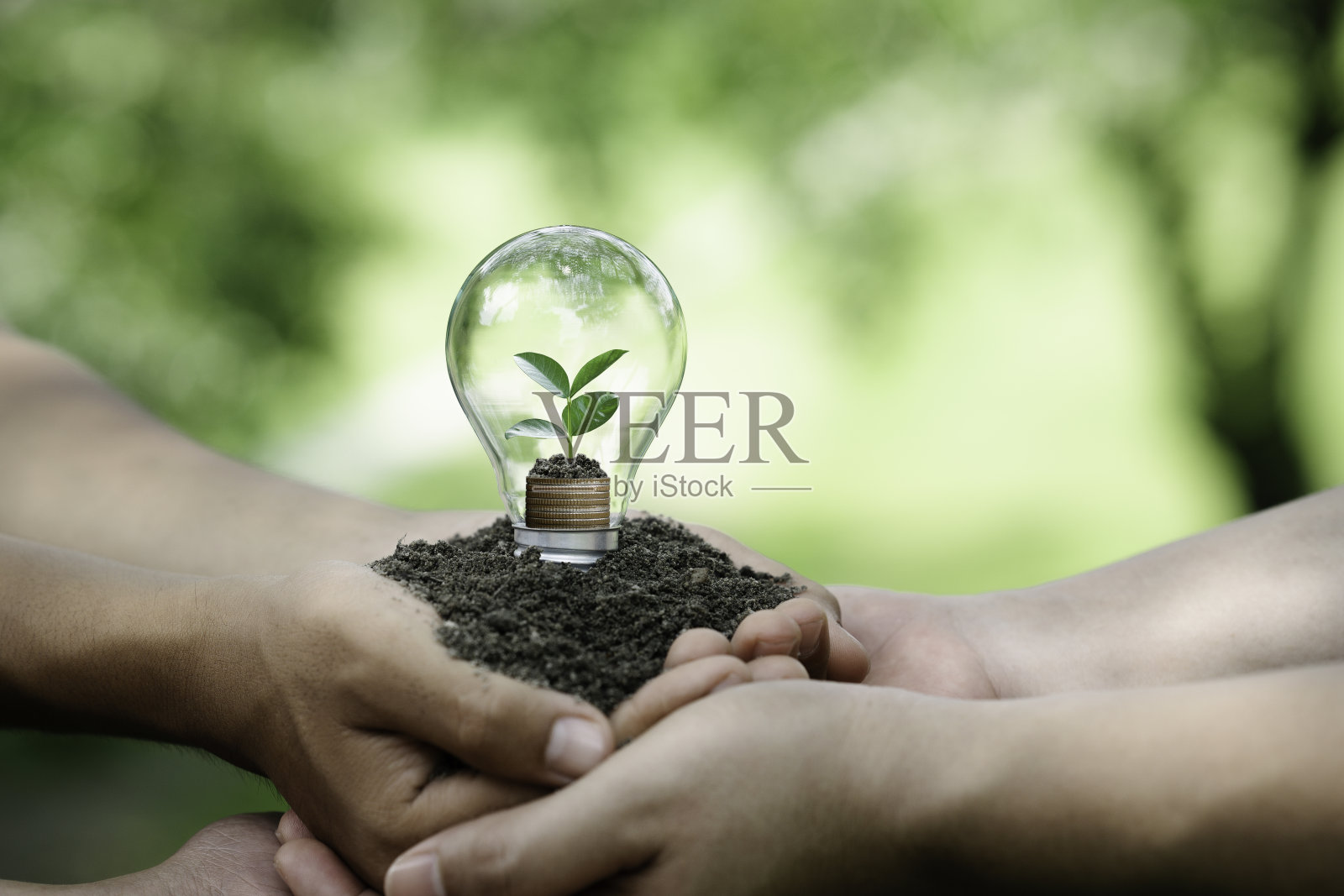 手里拿着灯泡，树上种着长在堆硬币上的树。
节能环保企业投资。可再生能源发电绿色商业。ESG和环境投资照片摄影图片
