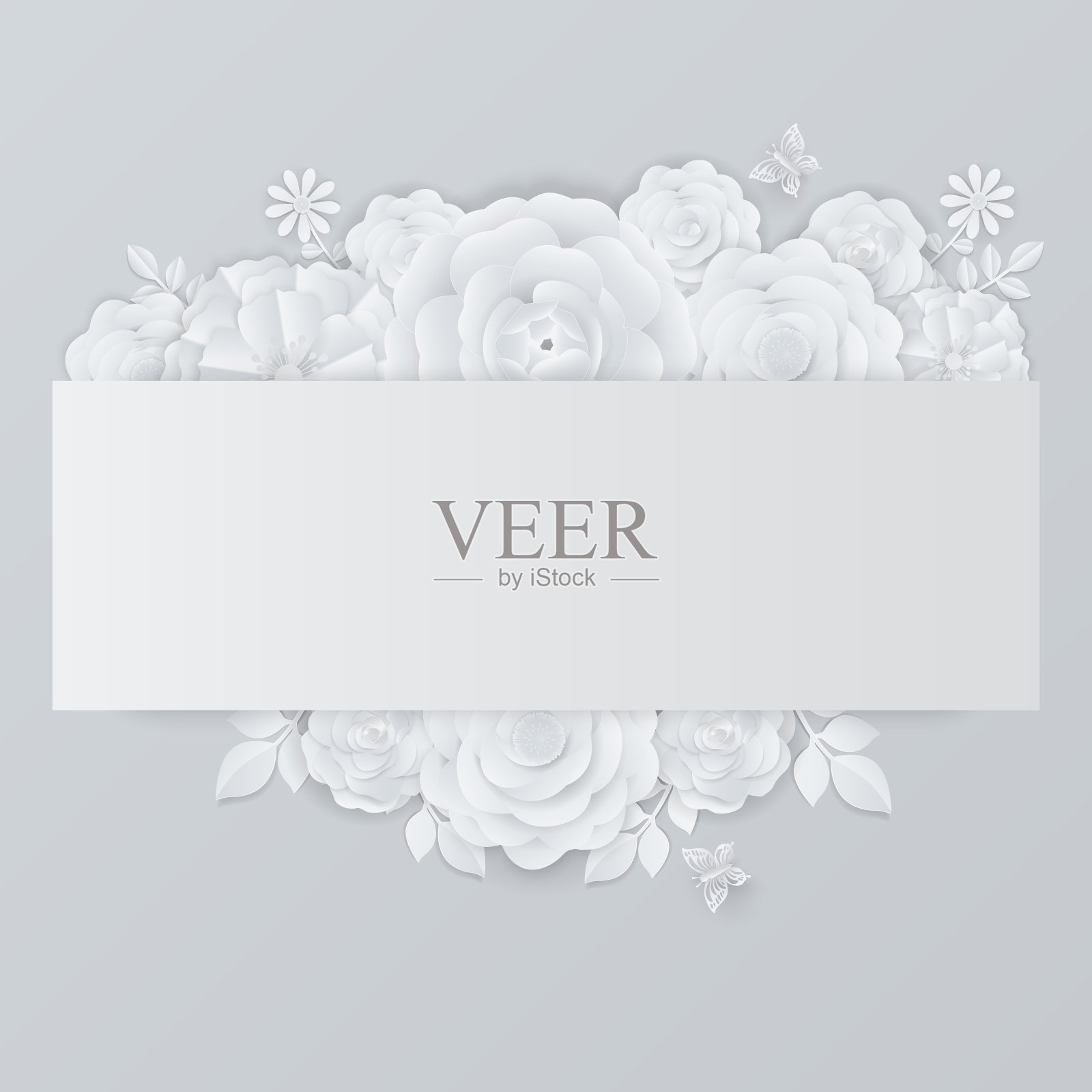 白色的花与玫瑰和叶子的背景插画图片素材