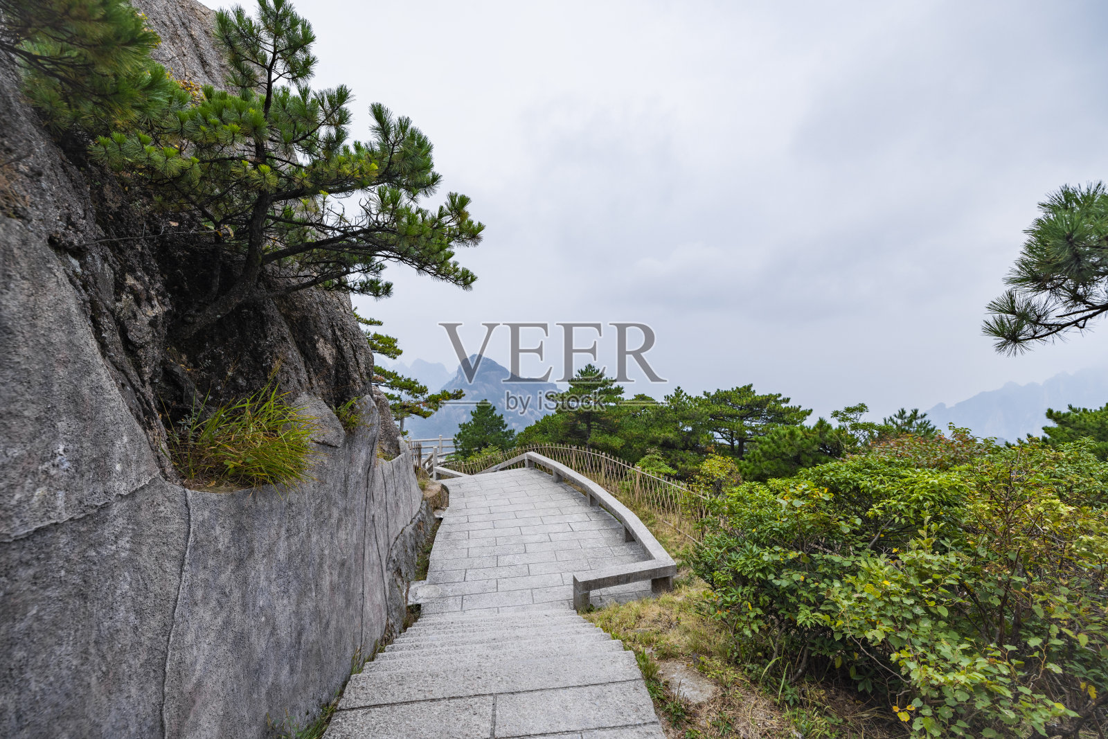 林中小径照片摄影图片