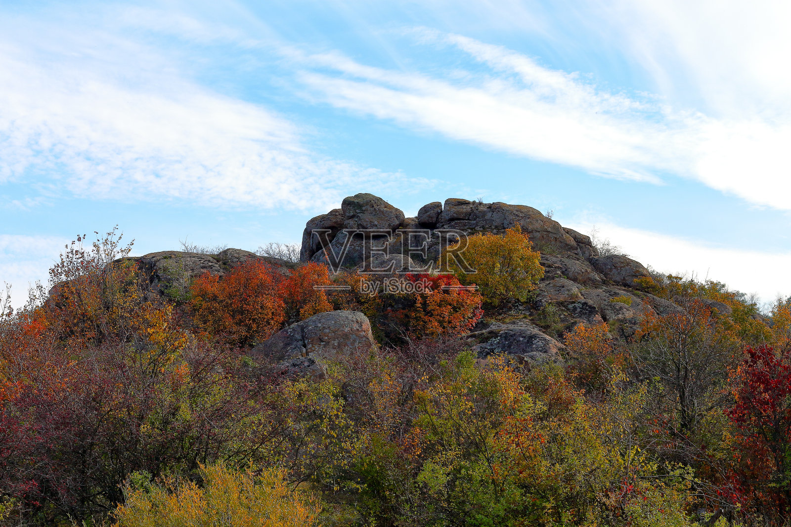 秋天的景色，树木在岩石上生长，背景是多云的天空照片摄影图片
