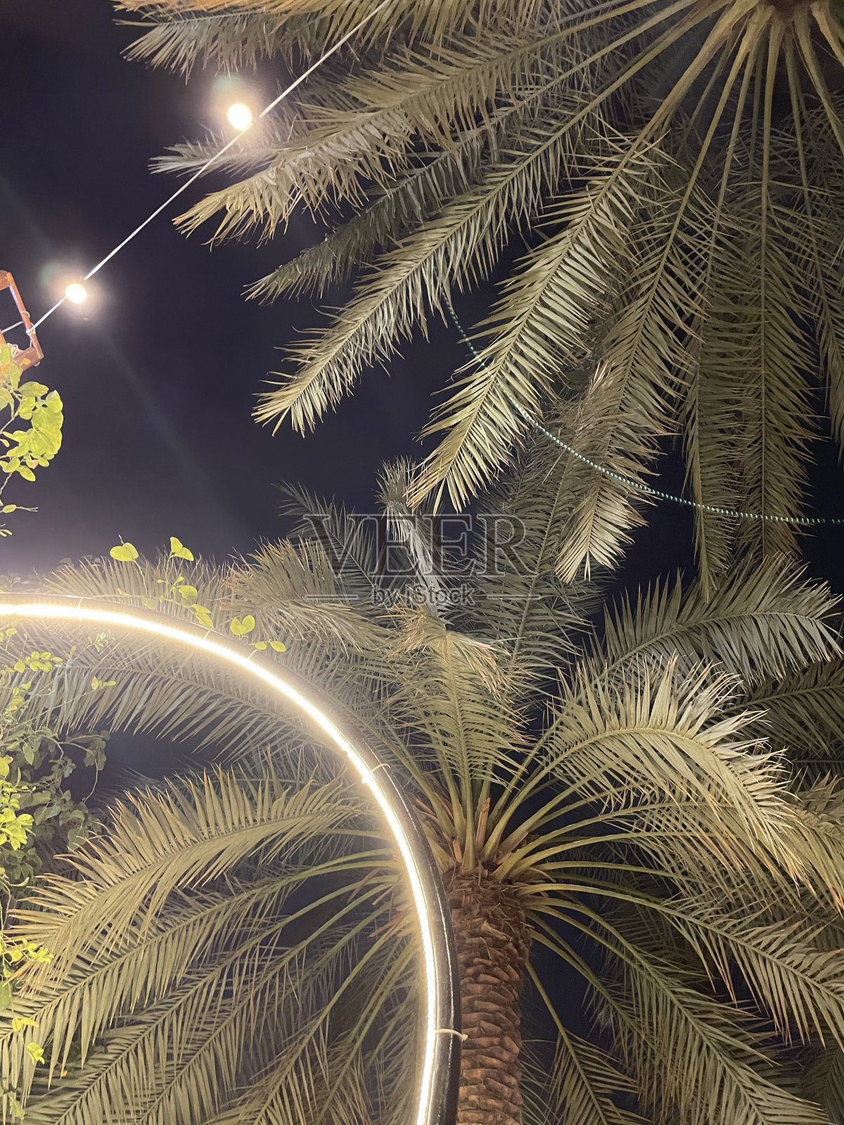 闪亮的手掌照片摄影图片