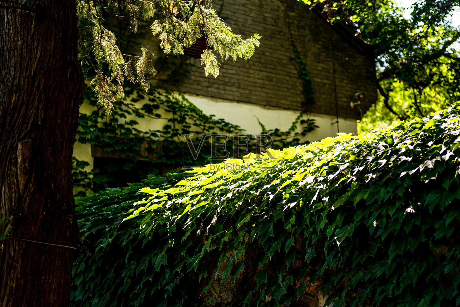 中国，象山，公园，双清山，纪念馆，遗址，景点照片摄影图片