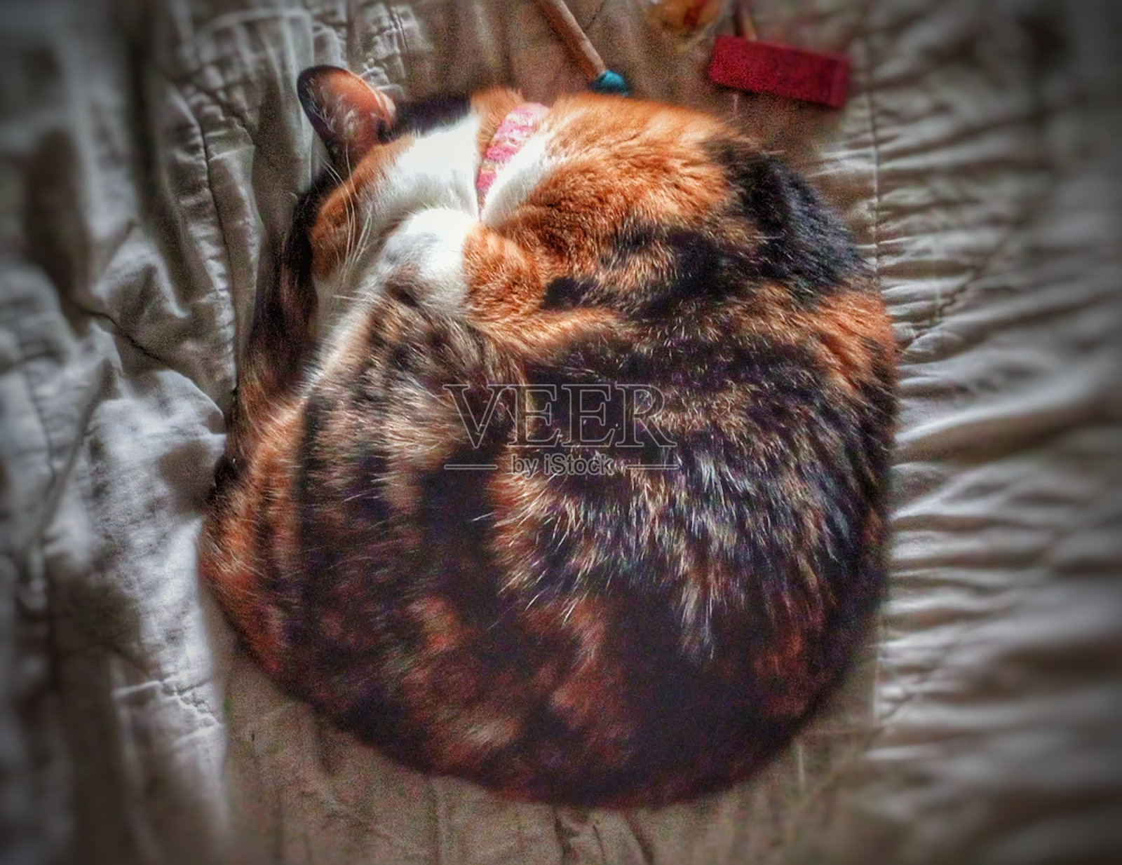 嗜睡的时髦小女孩照片摄影图片