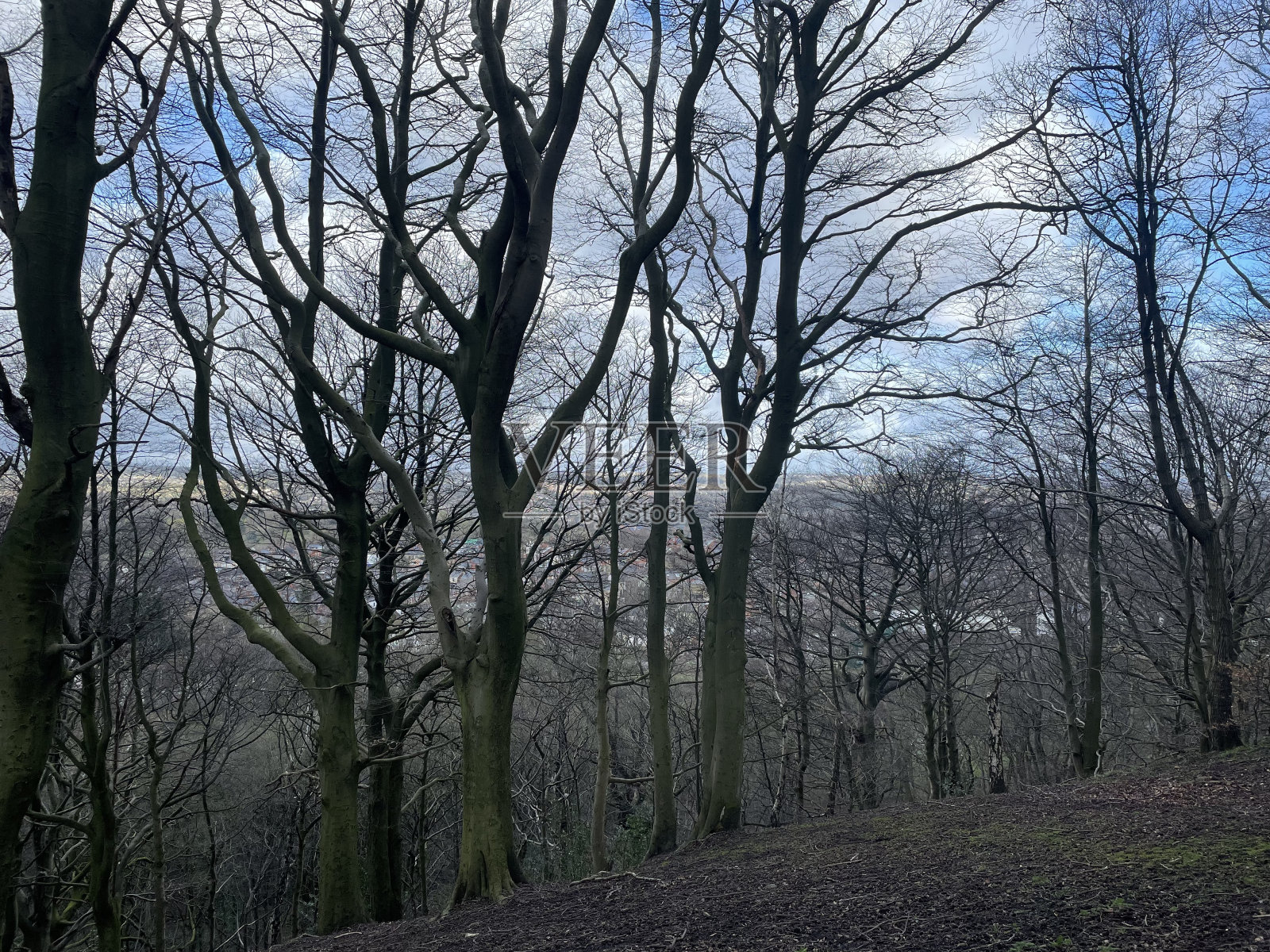 冬季远足照片摄影图片