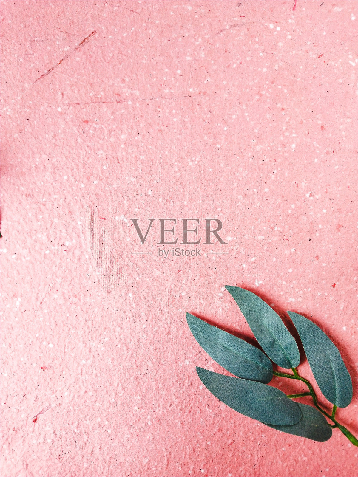 红玫瑰和叶子在粉红色的背景与复制空间照片摄影图片