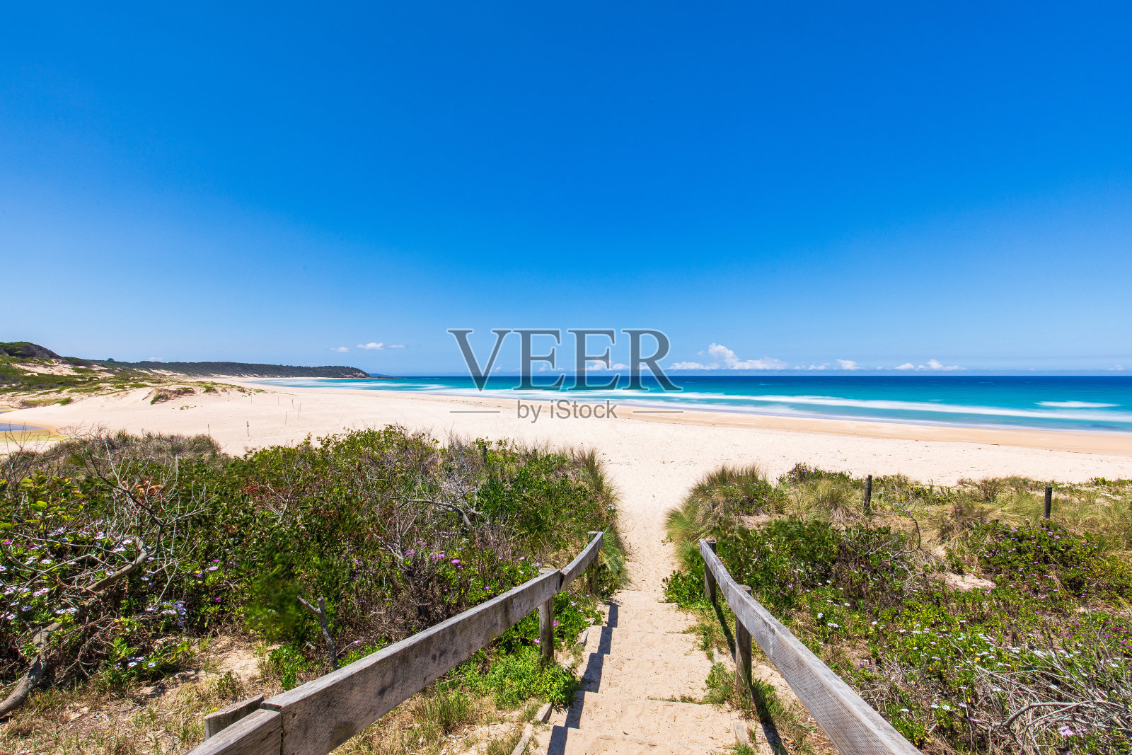 通往海滩的小径穿过灌木，通往蓝色的海洋照片摄影图片