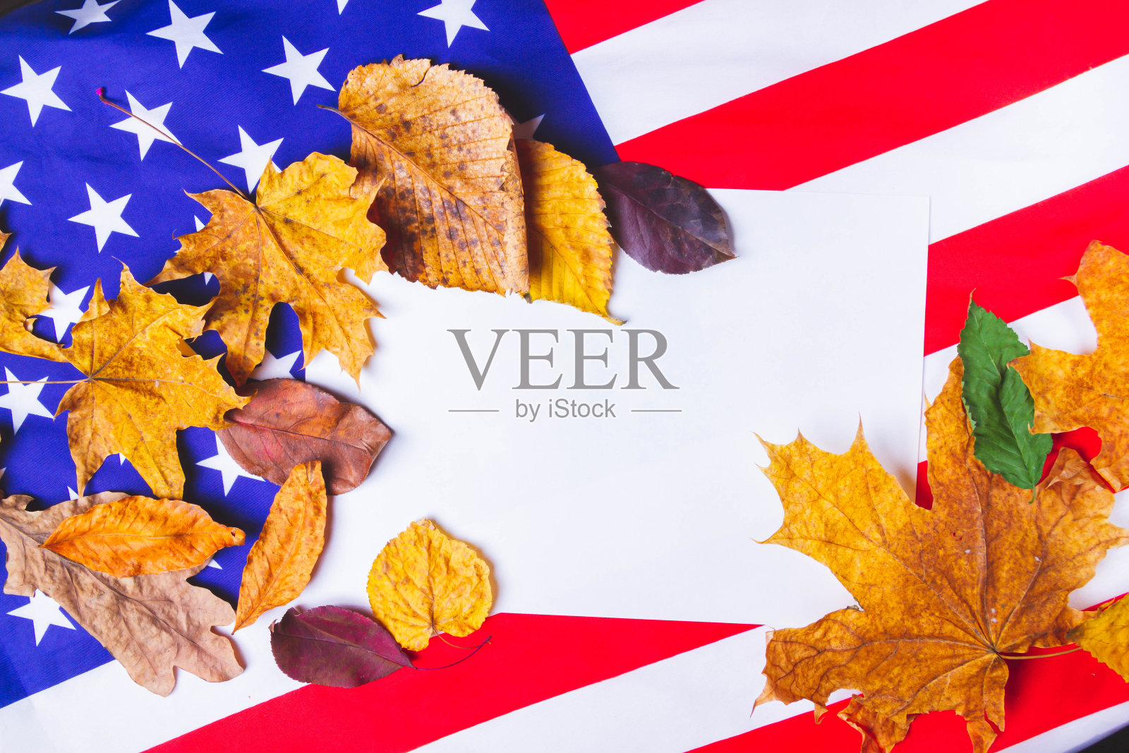 在美国国旗的背景上用一张干净的白纸，边缘是干的黄叶。照片摄影图片