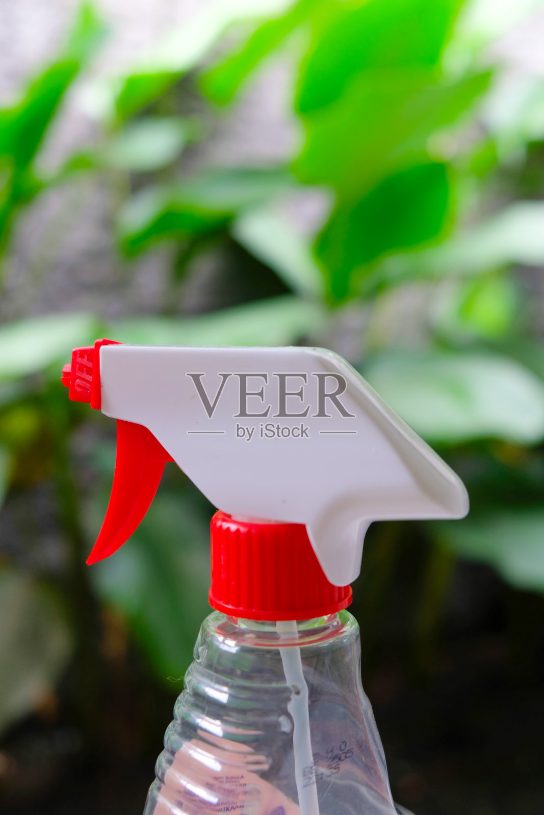 喷雾瓶，用于植物背景模糊的消毒照片摄影图片