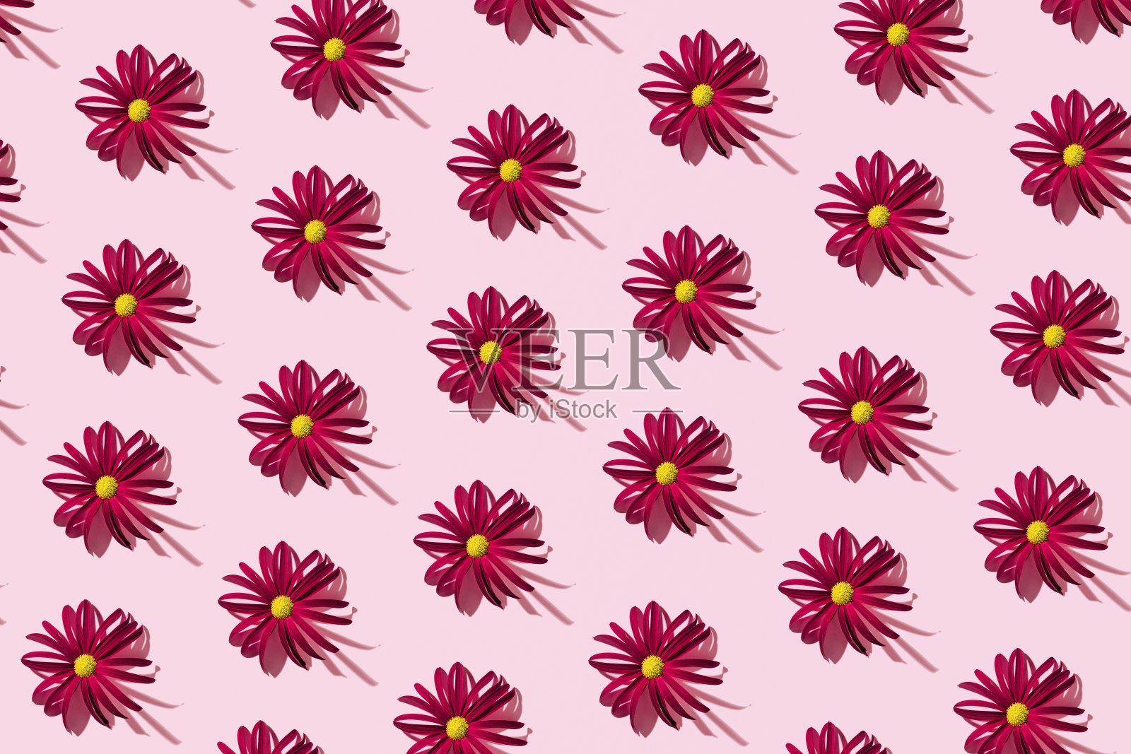 浪漫的花卉图案照片摄影图片