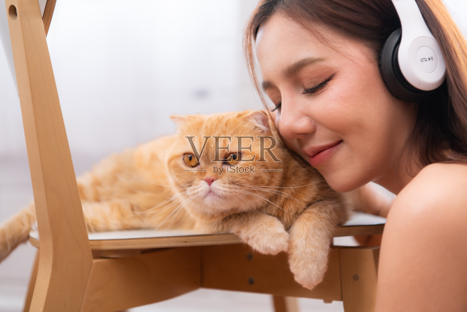 年轻的亚洲女人依偎着一只聪明的波斯猫。带着爱的温柔照片摄影图片