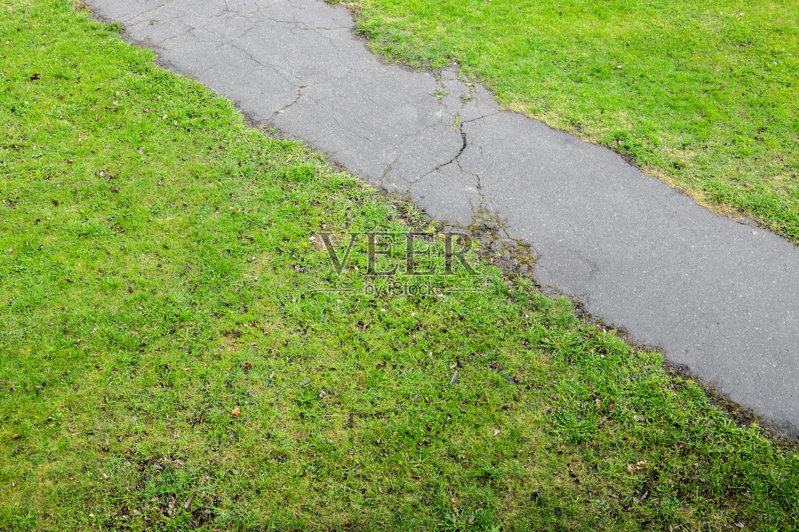 公园小径，柏油步行路穿过绿色草坪照片摄影图片