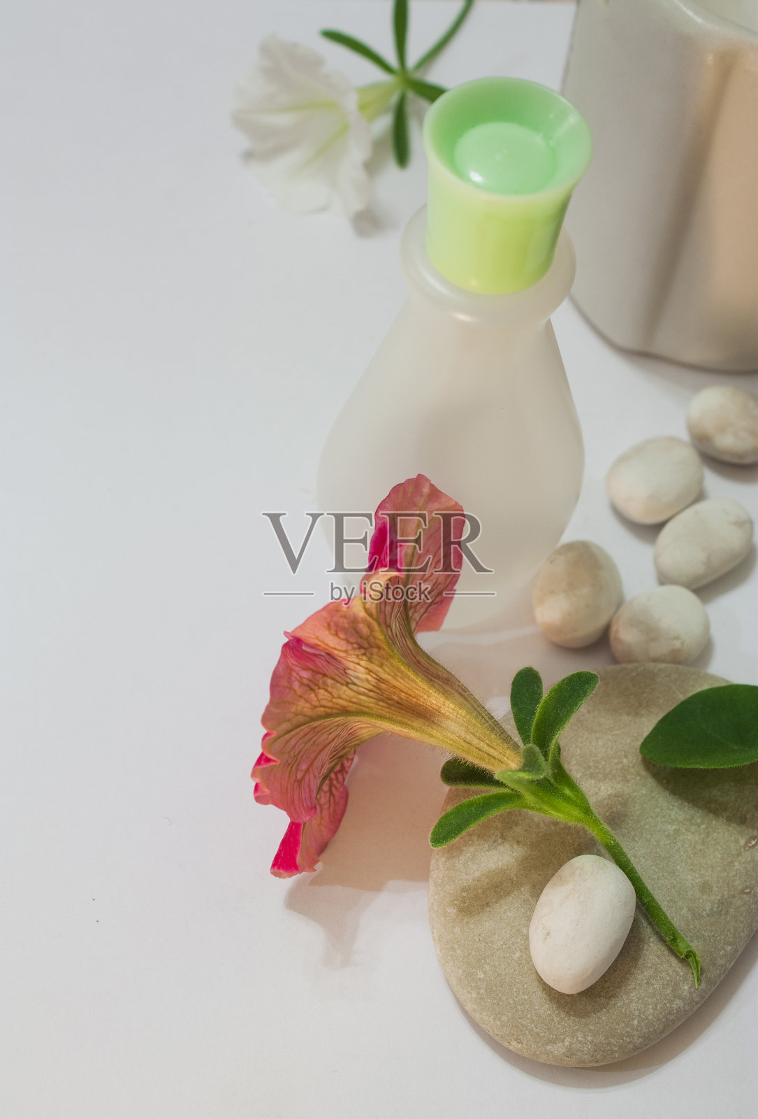 花和瓶子边框照片摄影图片