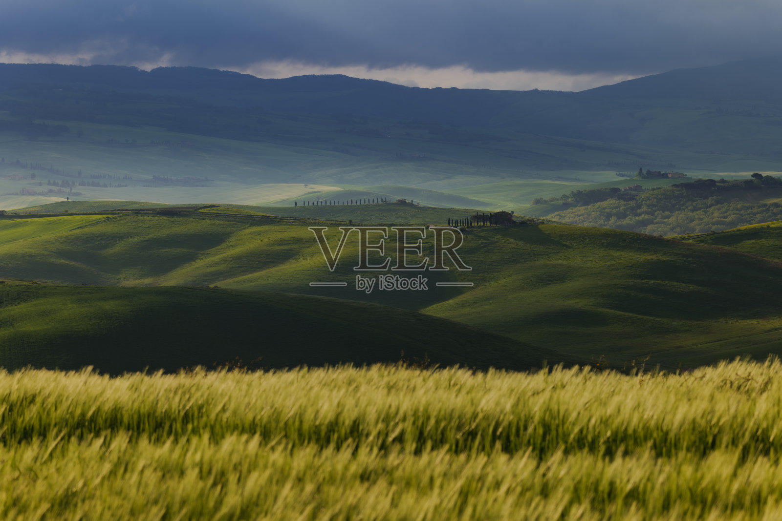 春天的托斯卡纳田野，日出雾蒙蒙的心情，奥卡谷，皮恩扎地区照片摄影图片