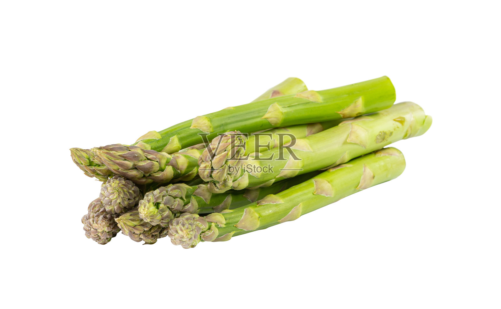 采购产品生花园芦笋，新鲜的绿色春天蔬菜，芦笋可食用芽照片摄影图片