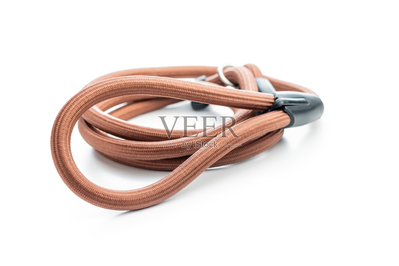 尼龙宠物皮带隔离在白色背景。照片摄影图片