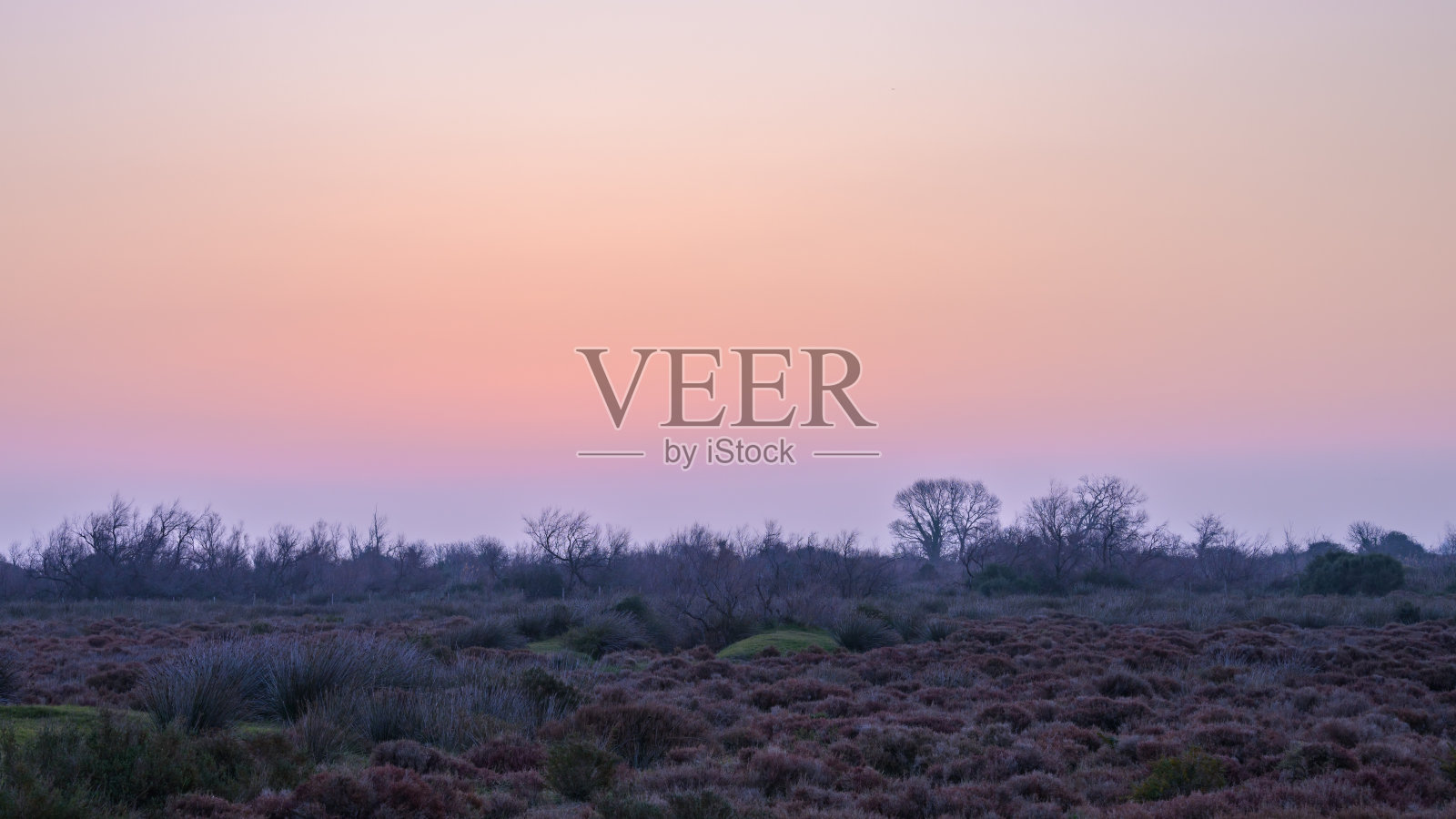 卡马尔格湿地的日出照片摄影图片