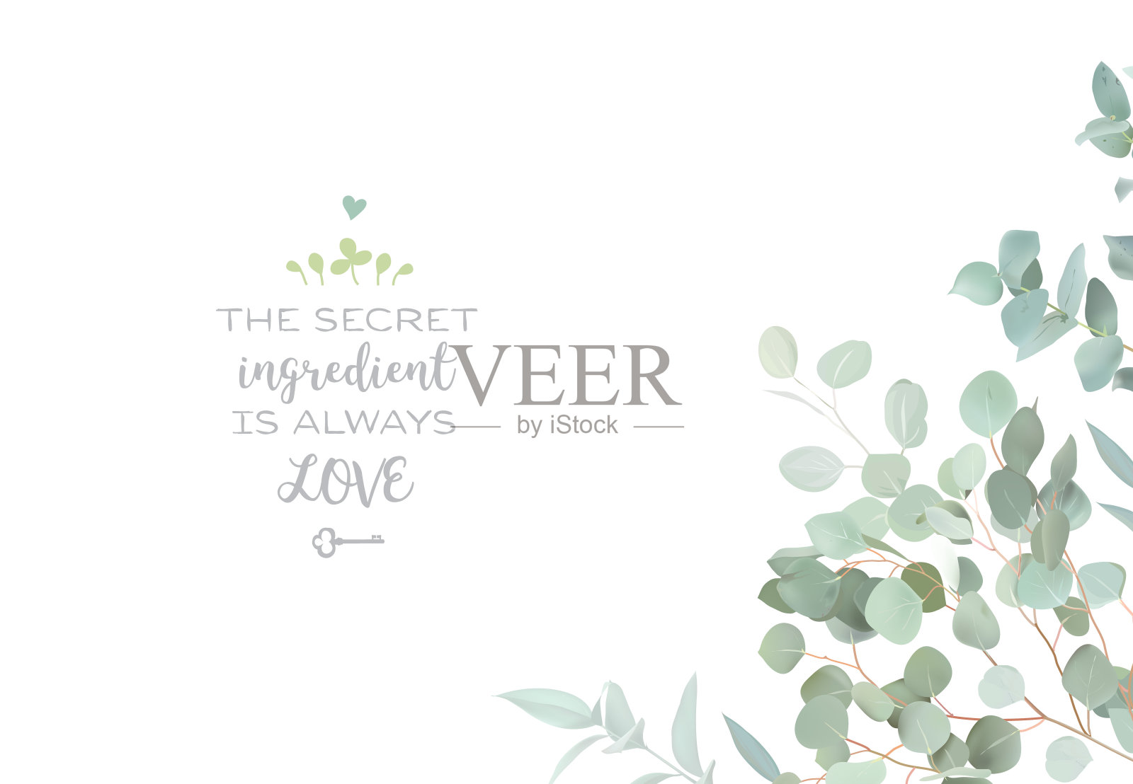 草本桉树选择矢量框架。手绘树枝，树叶在白色的背景插画图片素材