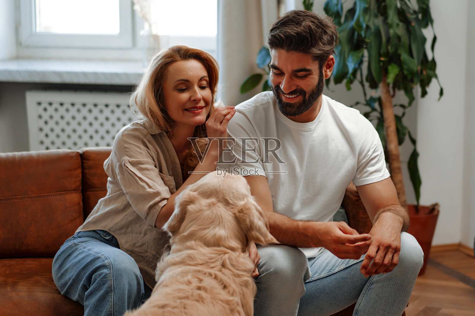 家里有狗的夫妇照片摄影图片