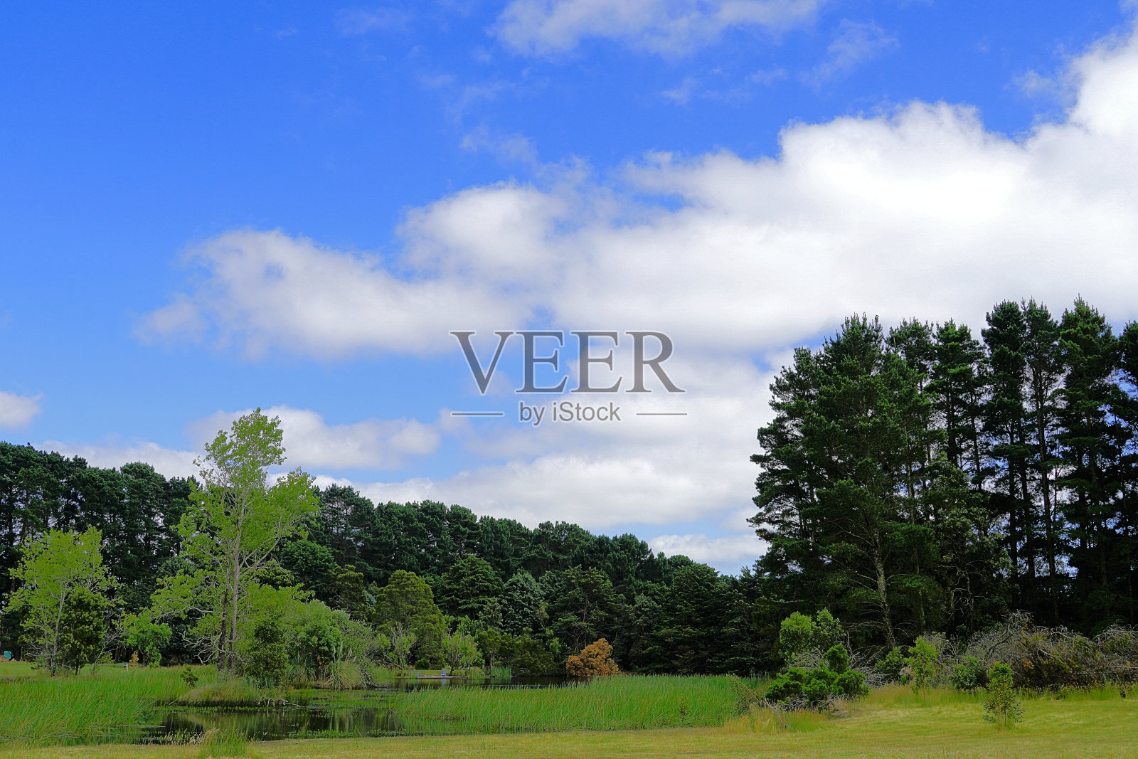 拉拉拉拉，澳大利亚维多利亚照片摄影图片