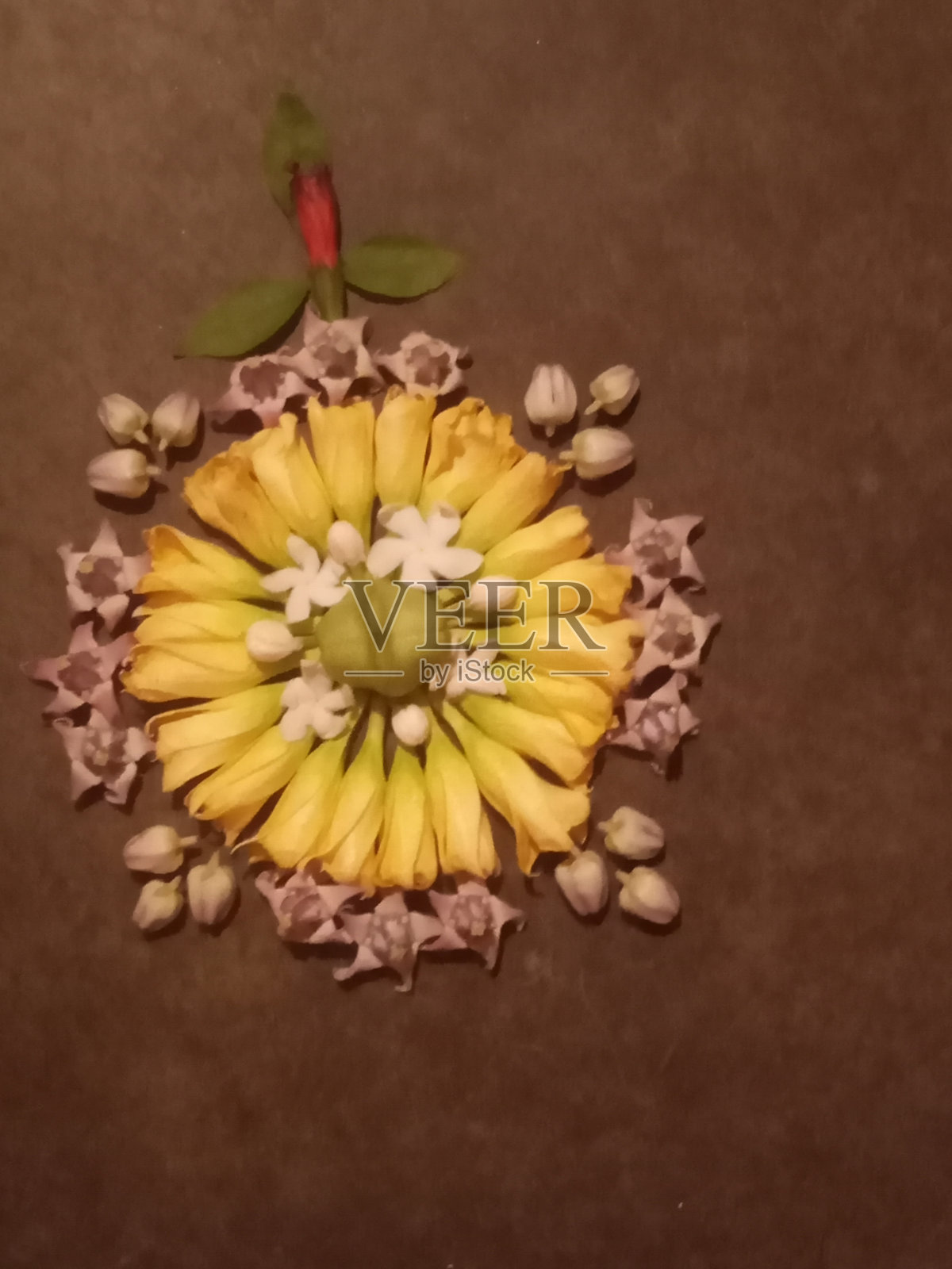 地板上的黄色花朵照片照片摄影图片