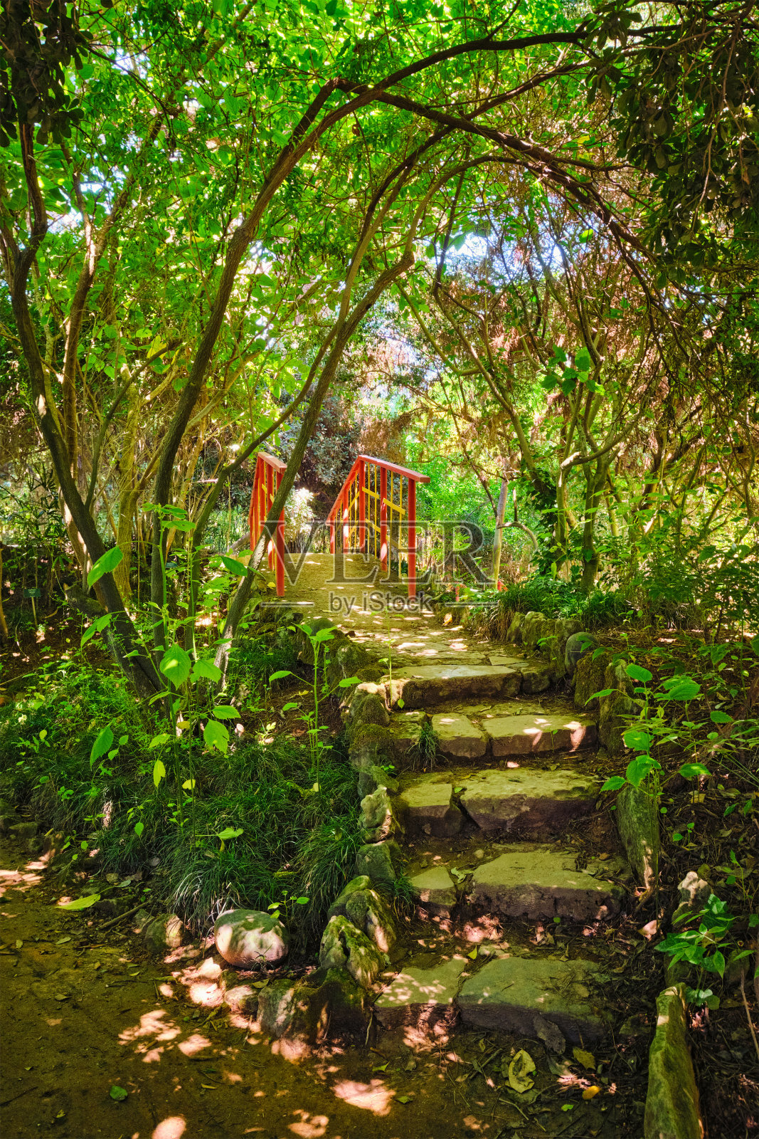 葡萄牙里斯本热带植物园亚洲部分的中式桥照片摄影图片