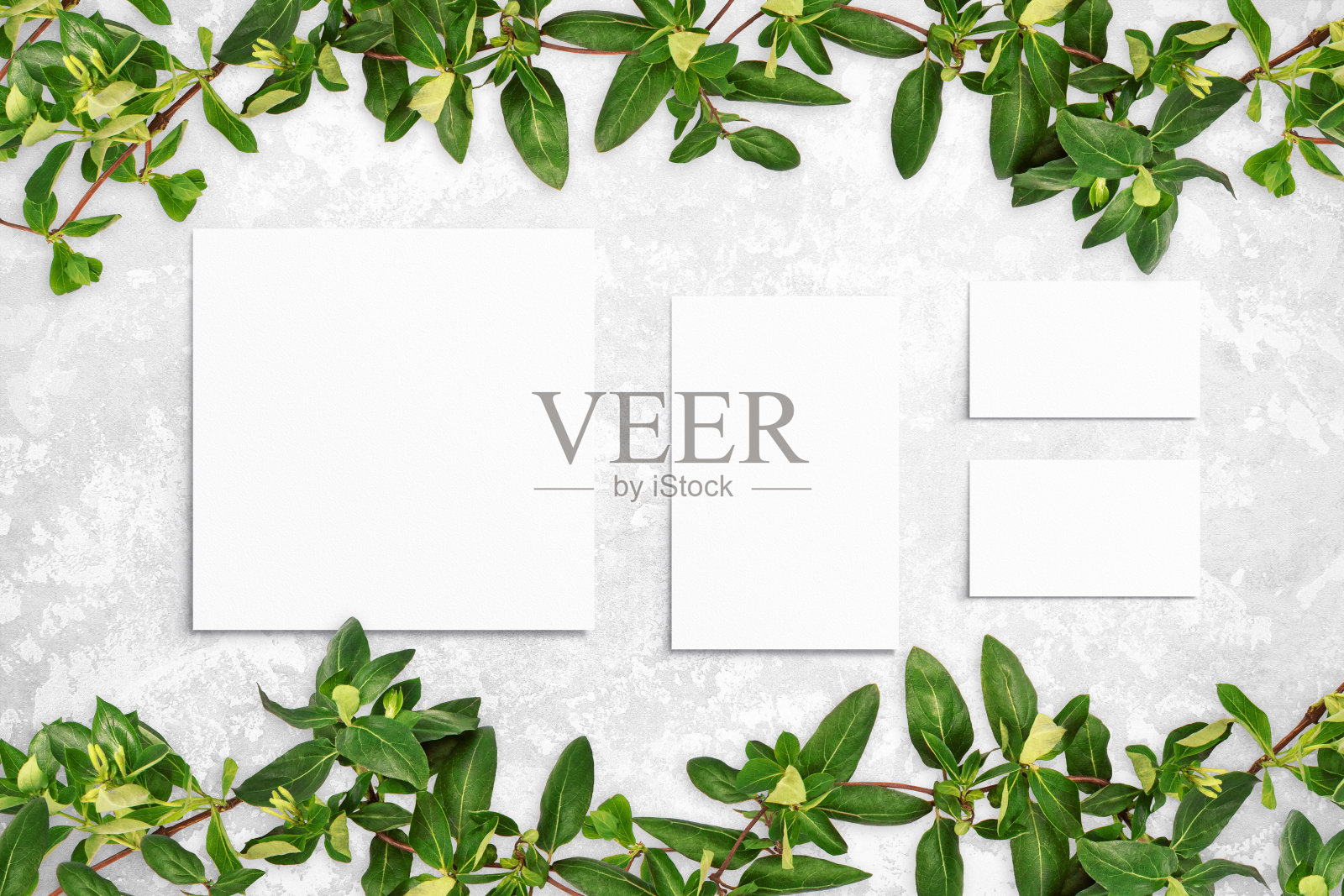 在灰色的混凝土背景上，树叶和白色的水彩纸组成。带叶子的树枝，空白的卡片。自然模型，生态海报。俯视图，平铺，近距离，复制空间照片摄影图片