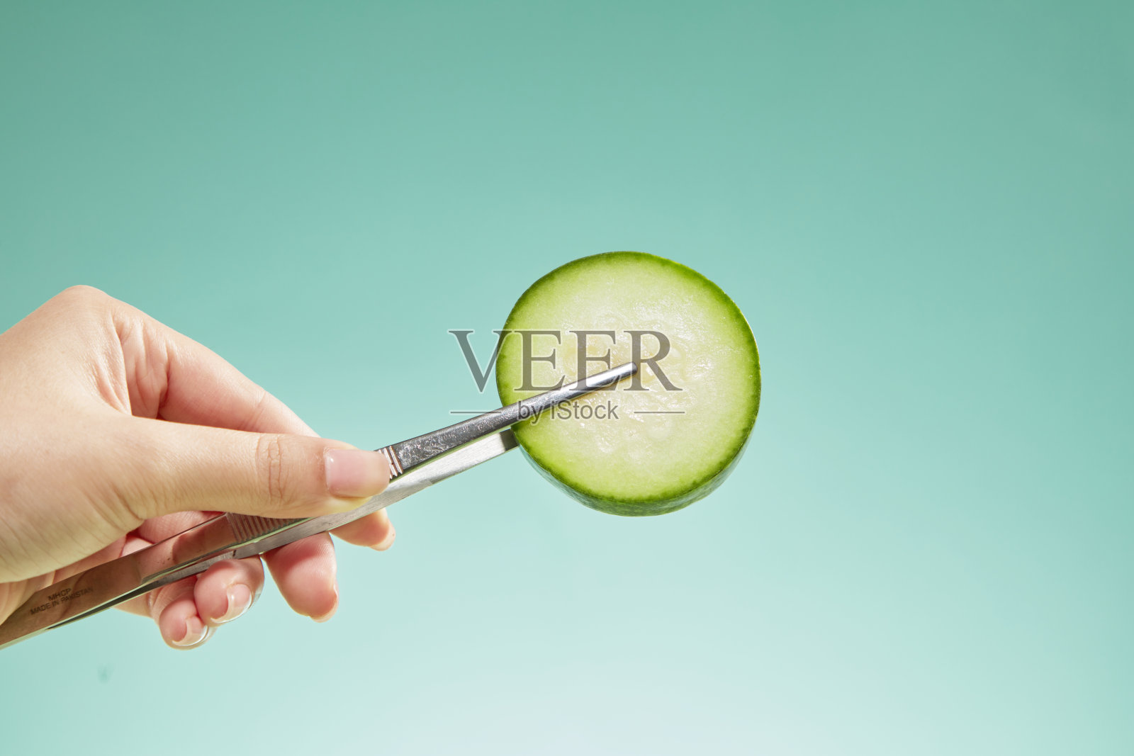 冬瓜照片摄影图片