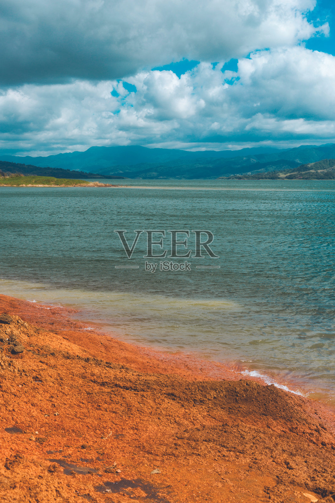 哥斯达黎加的雨林照片摄影图片