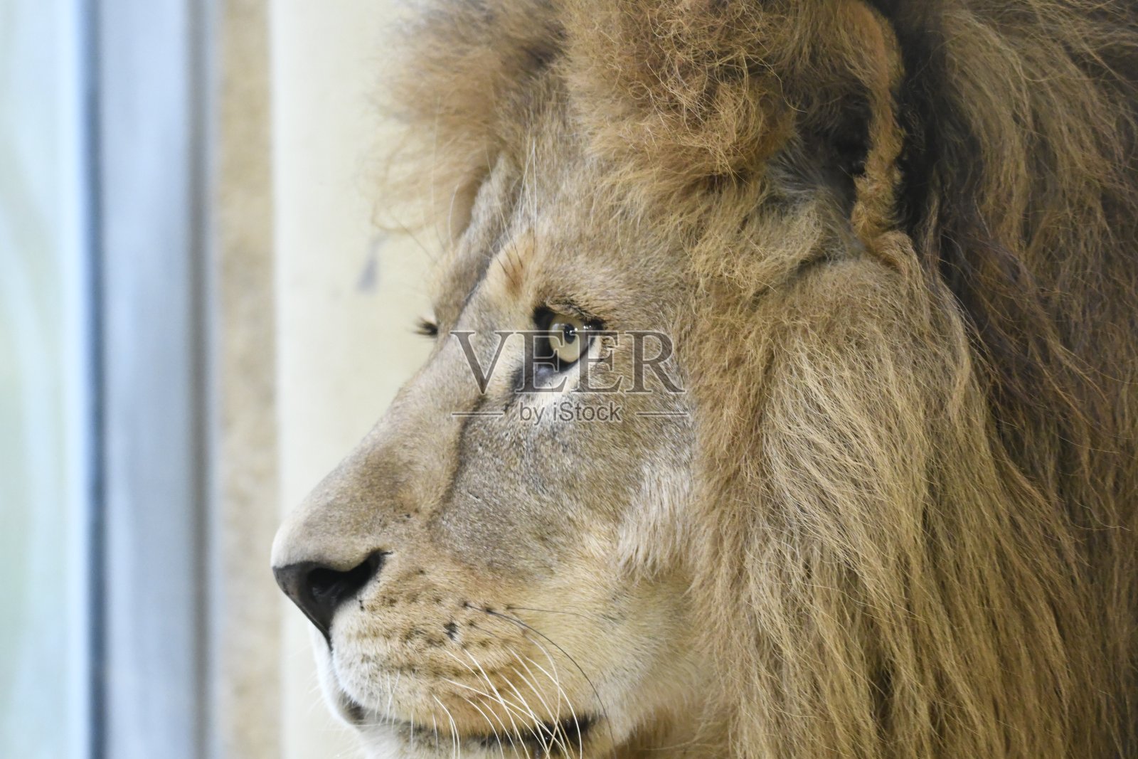 外观照片摄影图片