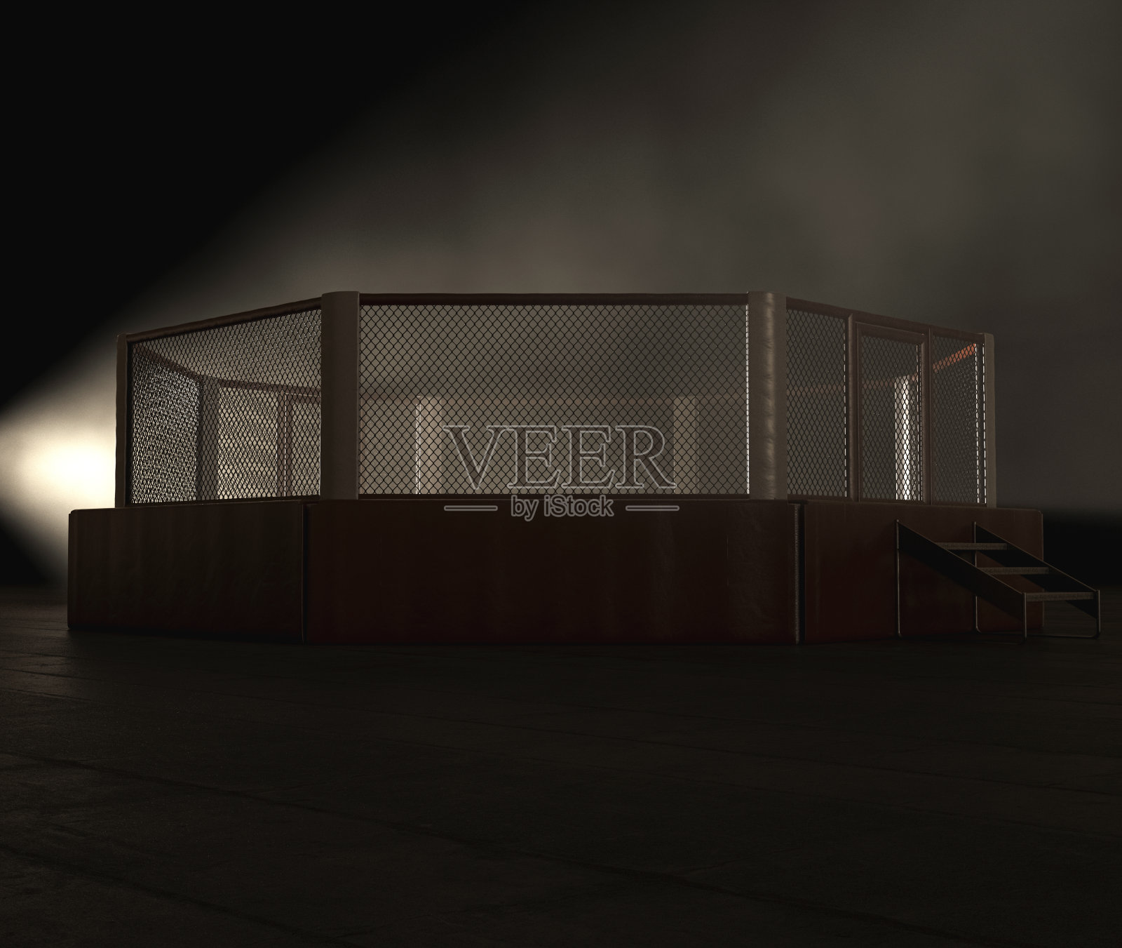 现代综合格斗擂台照片摄影图片