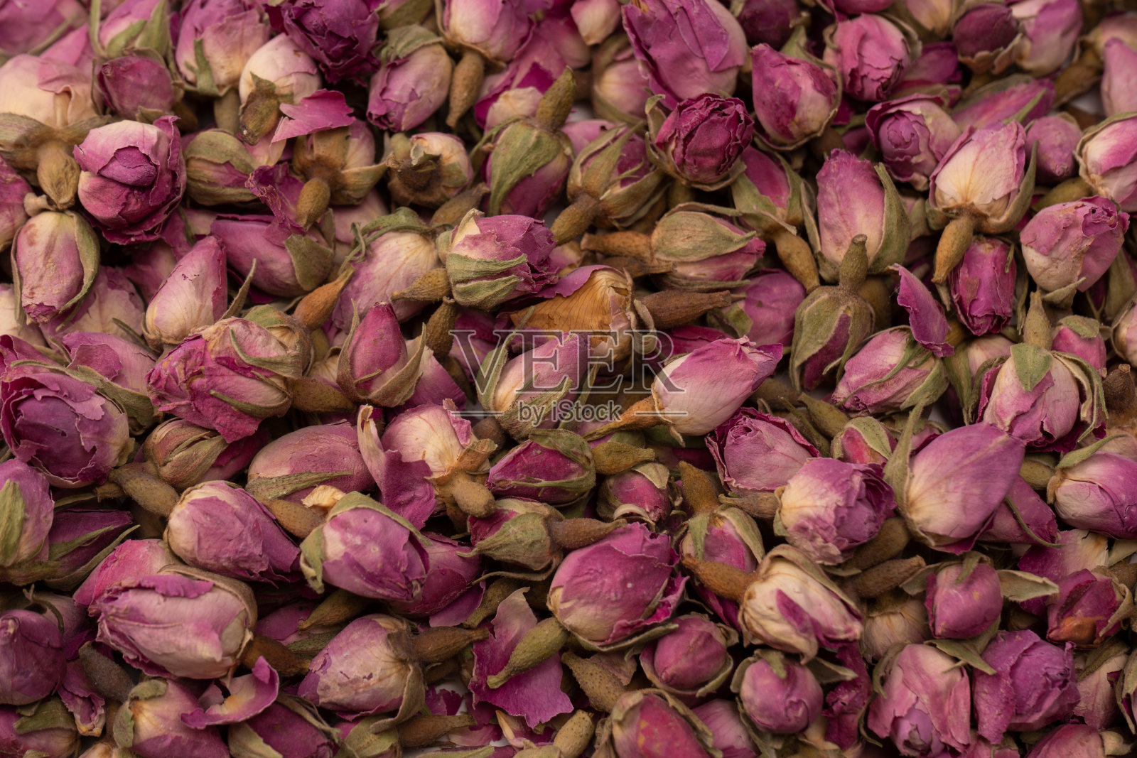 在白色背景上孤立的干茶蔷薇。照片摄影图片