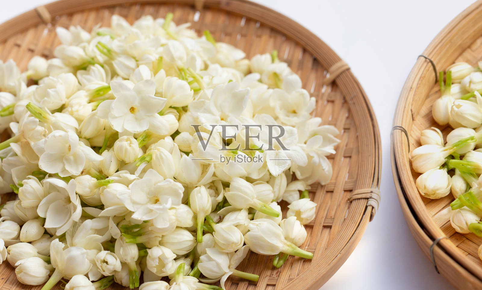 白色背景的泰国茉莉花。照片摄影图片