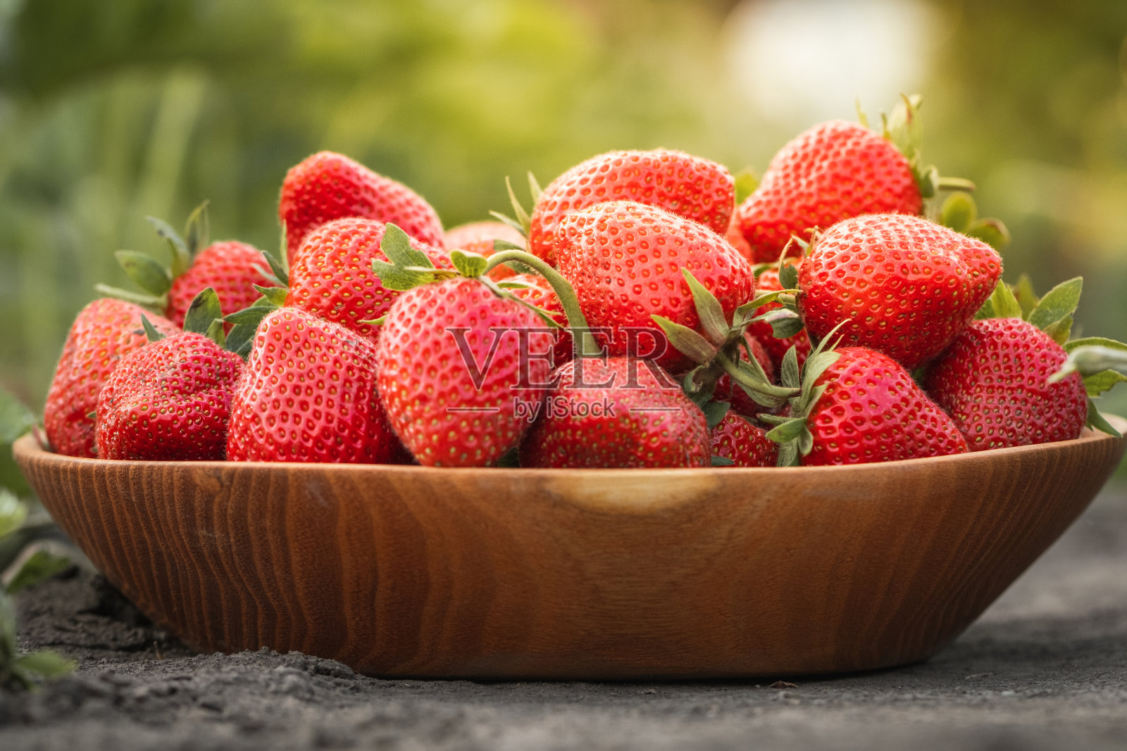 木碗里刚摘下来的熟透的红草莓，近景摄于花园里草莓丛的绿叶之间。夏季浆果的产量。照片摄影图片