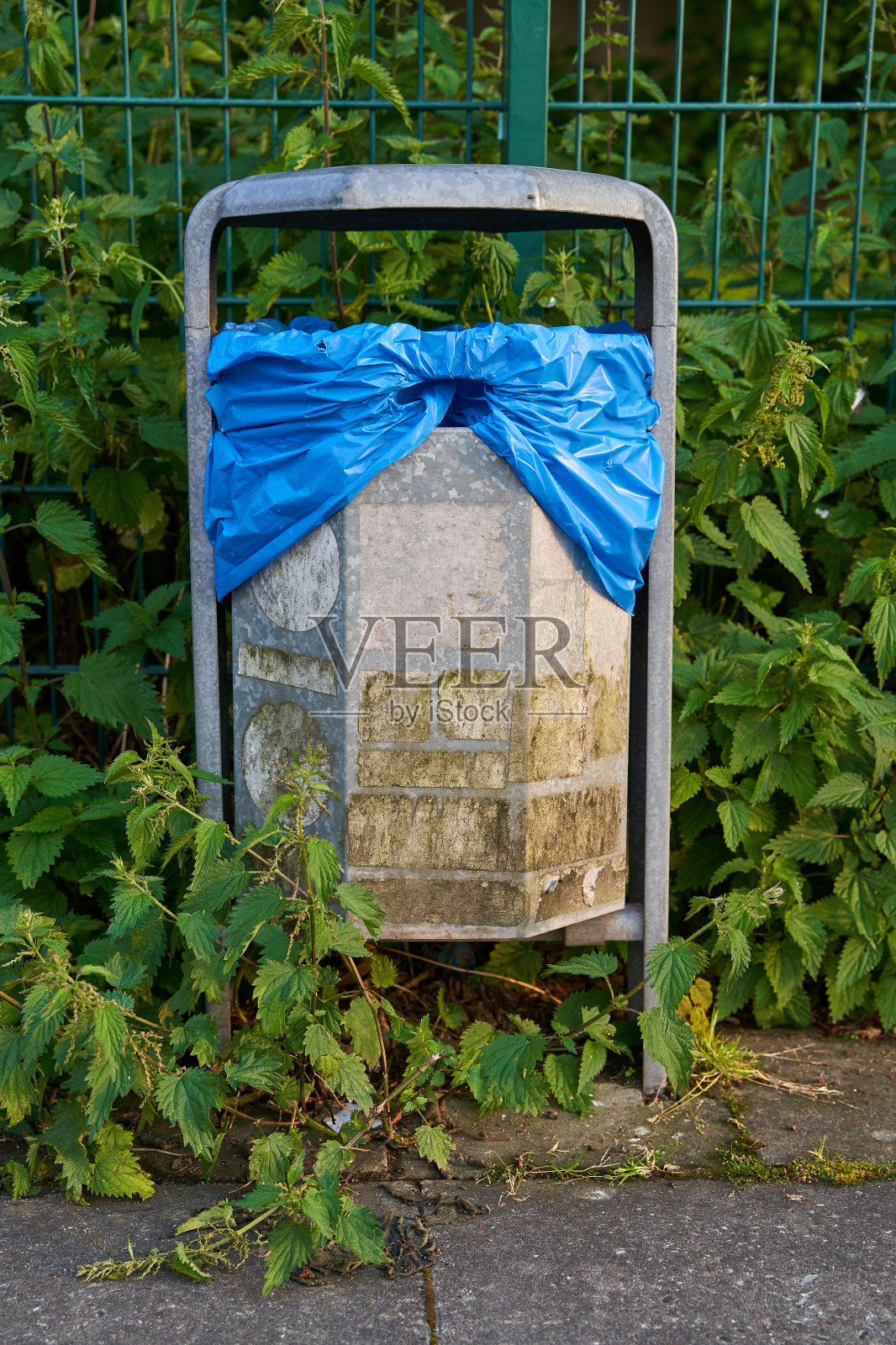 在一个阳光明媚的日子里，外面有一个带着蓝色袋子的垃圾桶。垃圾桶被篱笆前的荨麻包围着。照片摄影图片